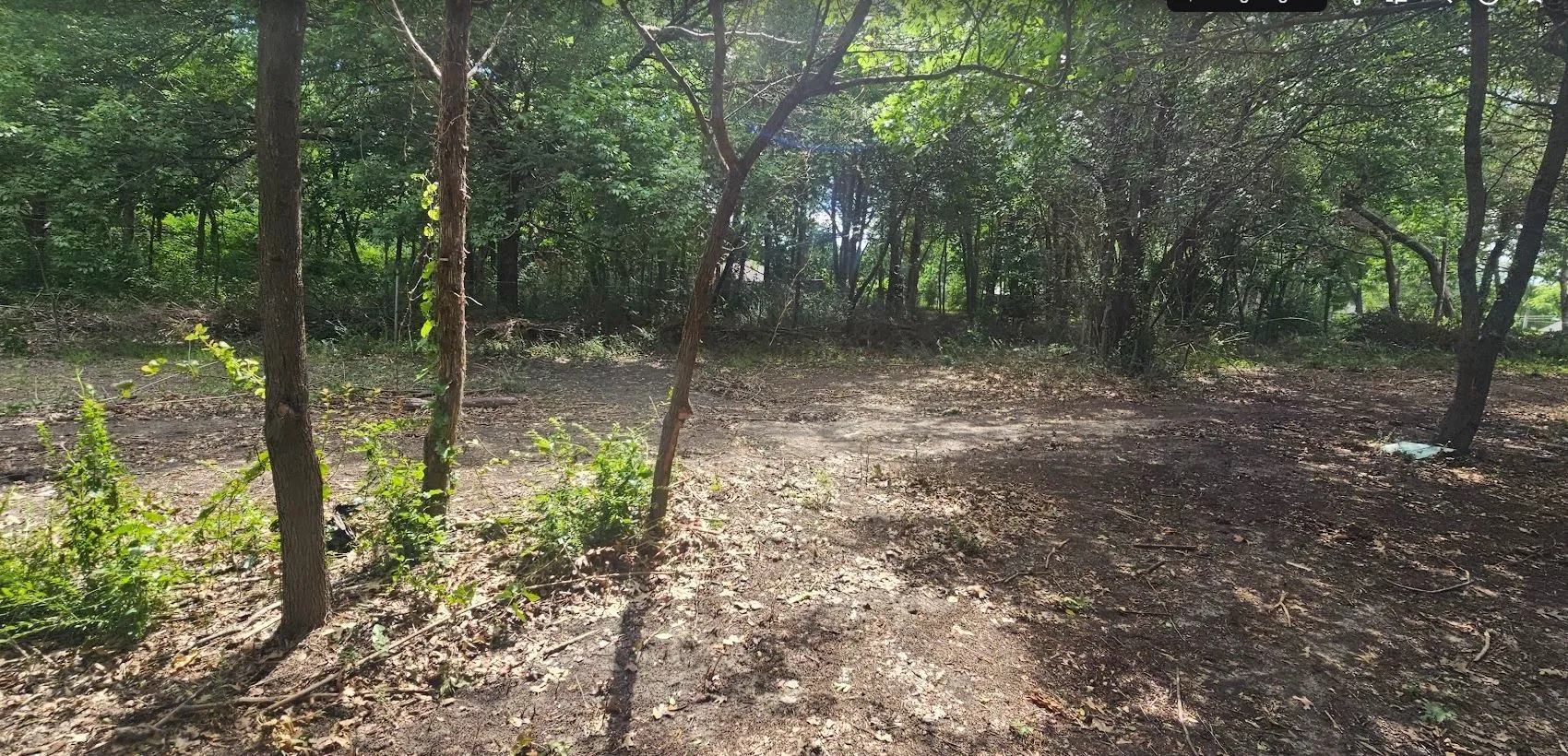 Wooded lot with cleared ground and mature trees