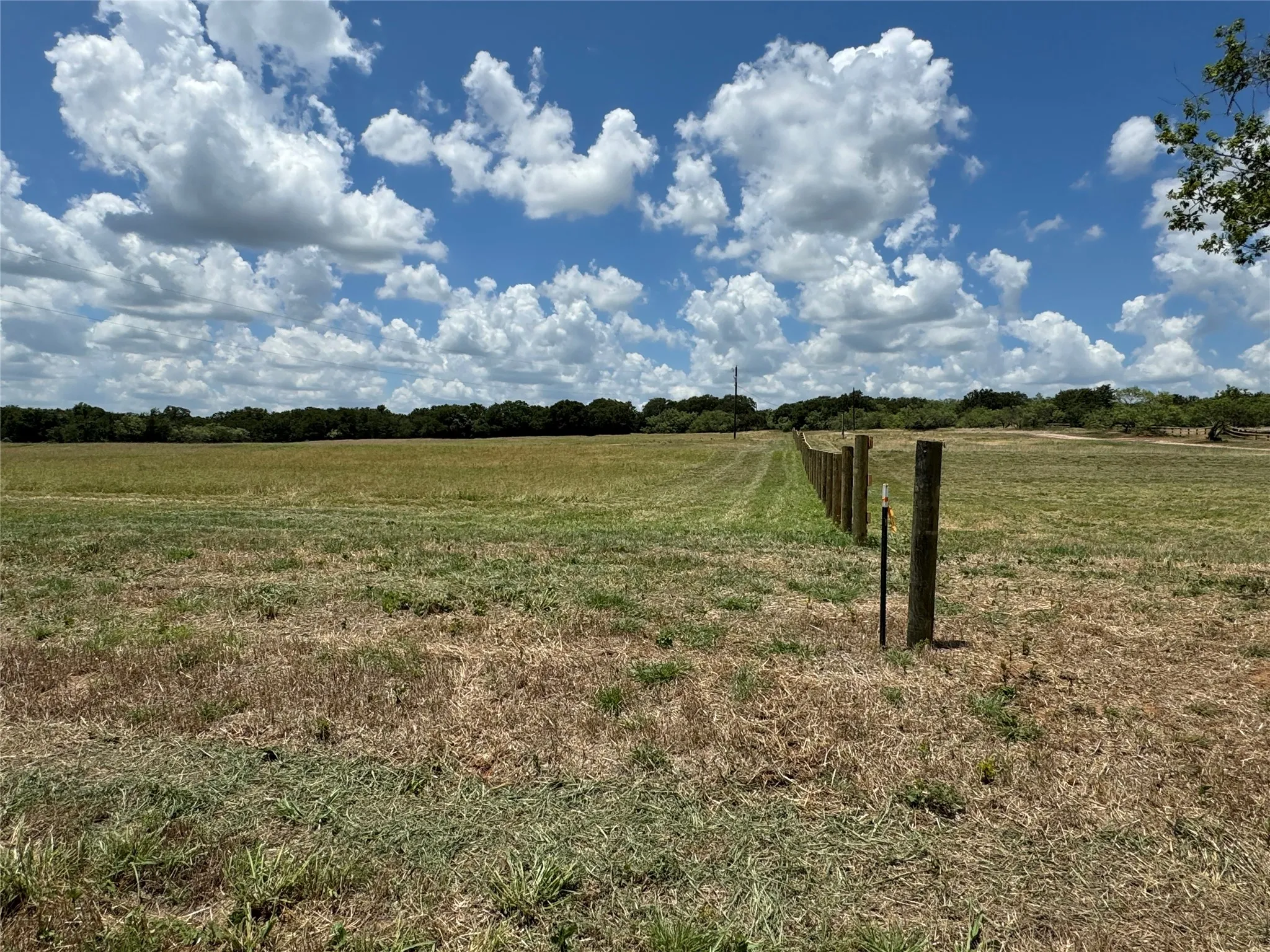 View West across the North Line of Lot 5 from CR 3735