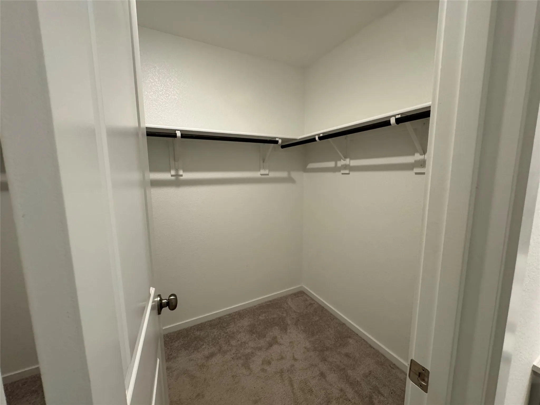 Spacious walk-in closet featuring white walls, deep brown carpeting, and a built-in shelving system with hanging rods