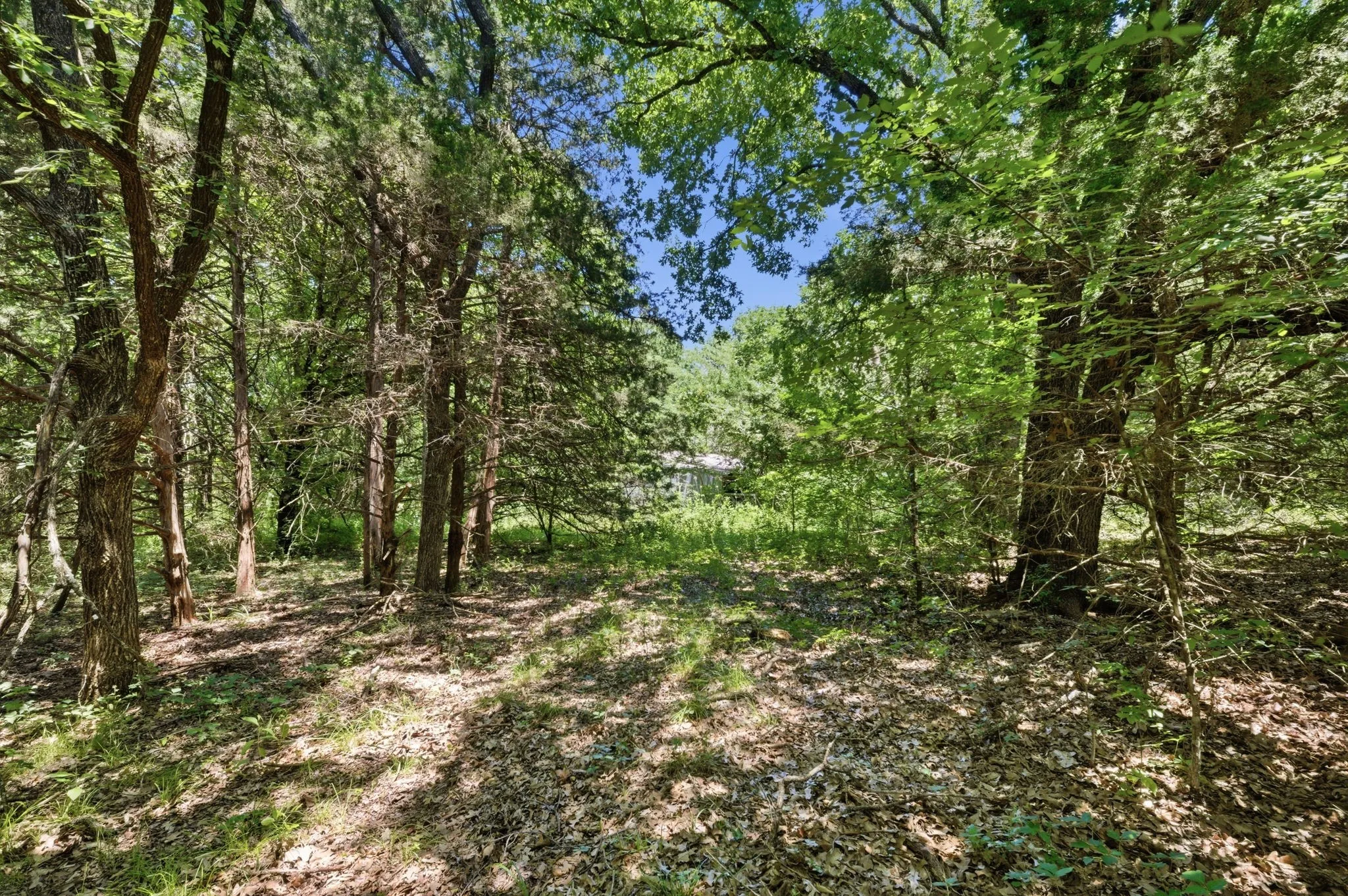 Unimproved Land For Sale in Grayson County , 000 US Hwy 82, Sherman, Texas 75092, 0, 0, Garage spaces, 0 Sqft, built in 0, Price $1,200,000, mls#21286344, Real Estate Agent in Sherman, Homes For Sale in Grayson county, Homes For Sale in Sherman, Realtor in Sherman Texas, Real Estate Brokerage Independent Realty Texas, Luminita Cordes Realtor