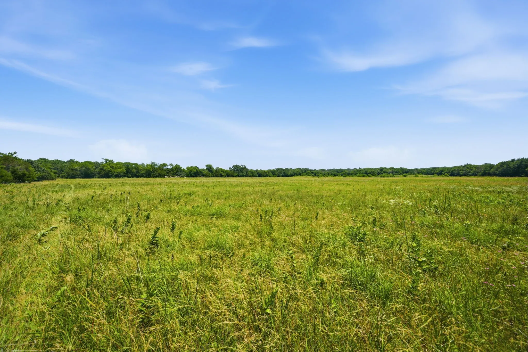 Unimproved Land For Sale in Grayson County , 000 US Hwy 82, Sherman, Texas 75092, 0, 0, Garage spaces, 0 Sqft, built in 0, Price $1,200,000, mls#21286344, Real Estate Agent in Sherman, Homes For Sale in Grayson county, Homes For Sale in Sherman, Realtor in Sherman Texas, Real Estate Brokerage Independent Realty Texas, Luminita Cordes Realtor