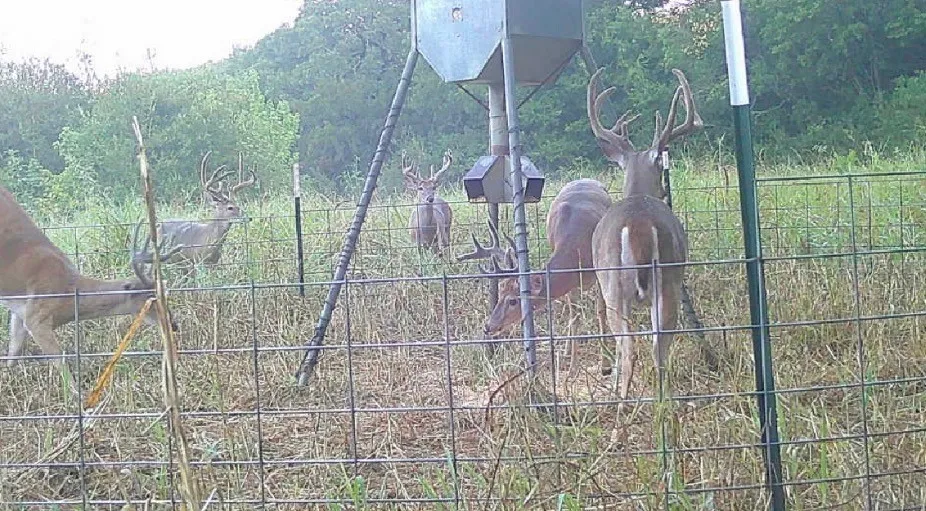 Unimproved Land For Sale in Grayson County , 000 US Hwy 82, Sherman, Texas 75092, 0, 0, Garage spaces, 0 Sqft, built in 0, Price $1,200,000, mls#21286344, Real Estate Agent in Sherman, Homes For Sale in Grayson county, Homes For Sale in Sherman, Realtor in Sherman Texas, Real Estate Brokerage Independent Realty Texas, Luminita Cordes Realtor