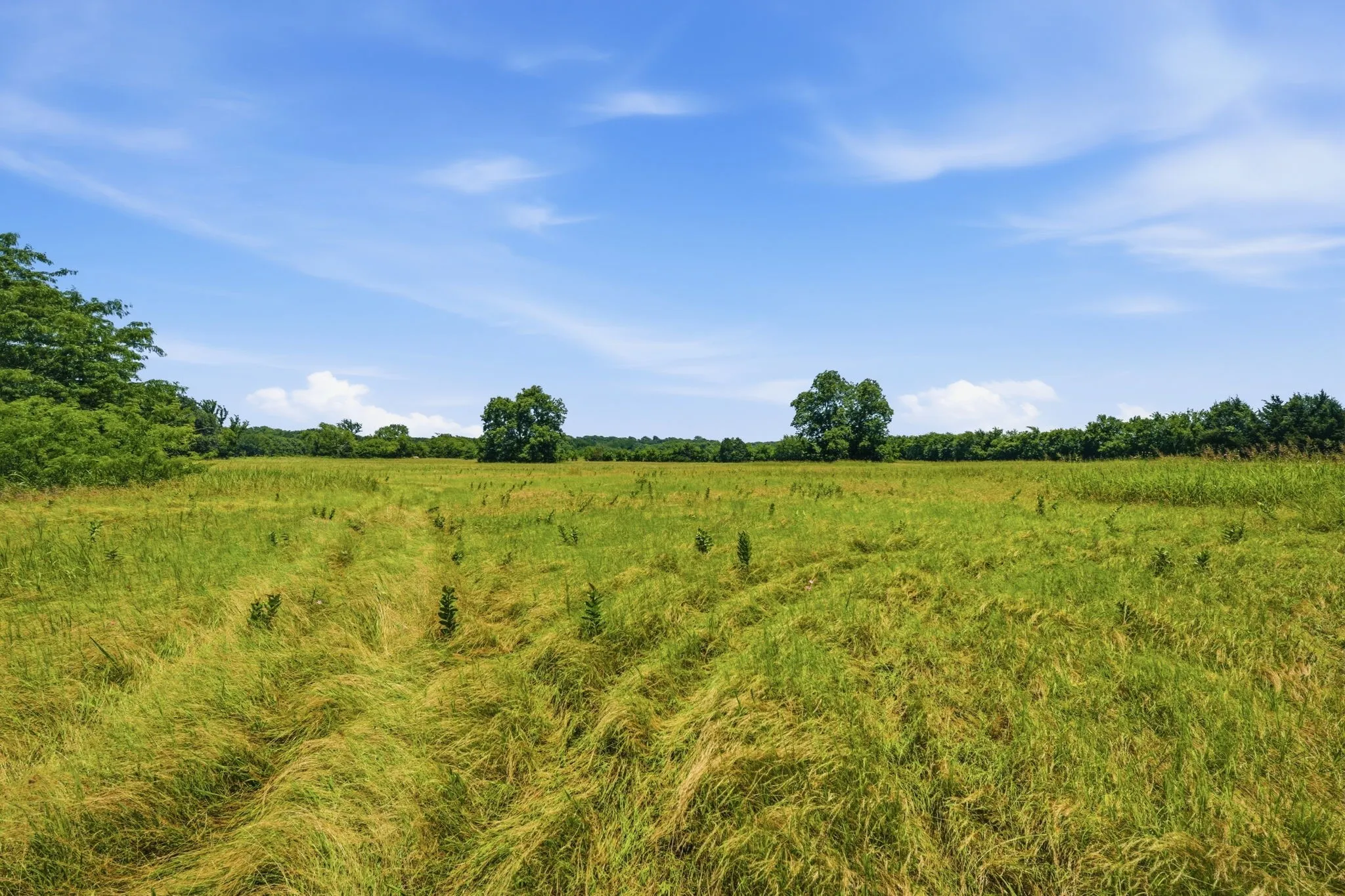 Unimproved Land For Sale in Grayson County , 000 US Hwy 82, Sherman, Texas 75092, 0, 0, Garage spaces, 0 Sqft, built in 0, Price $1,200,000, mls#21286344, Real Estate Agent in Sherman, Homes For Sale in Grayson county, Homes For Sale in Sherman, Realtor in Sherman Texas, Real Estate Brokerage Independent Realty Texas, Luminita Cordes Realtor
