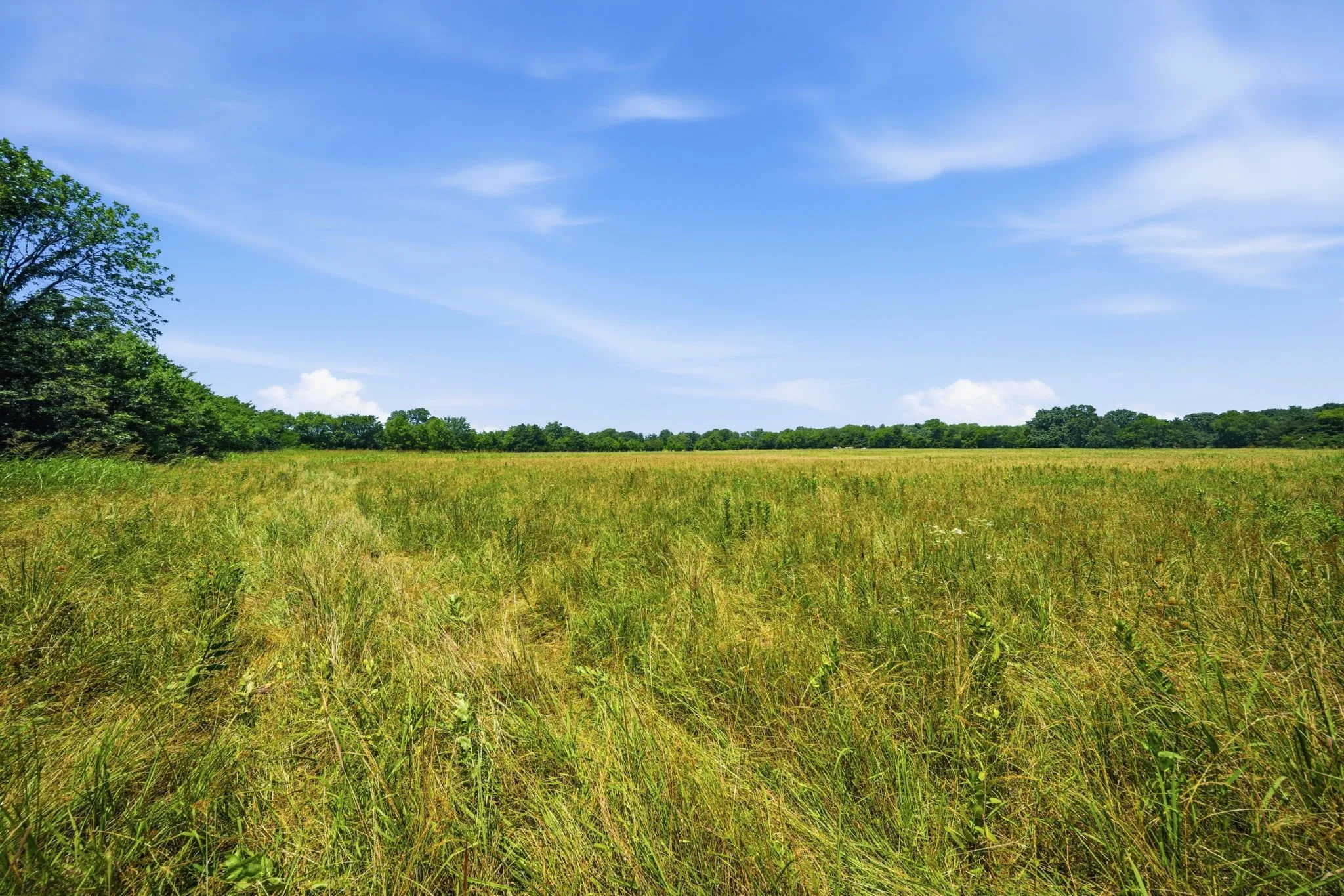 Unimproved Land For Sale in Grayson County , 000 US Hwy 82, Sherman, Texas 75092, 0, 0, Garage spaces, 0 Sqft, built in 0, Price $1,200,000, mls#21286344, Real Estate Agent in Sherman, Homes For Sale in Grayson county, Homes For Sale in Sherman, Realtor in Sherman Texas, Real Estate Brokerage Independent Realty Texas, Luminita Cordes Realtor