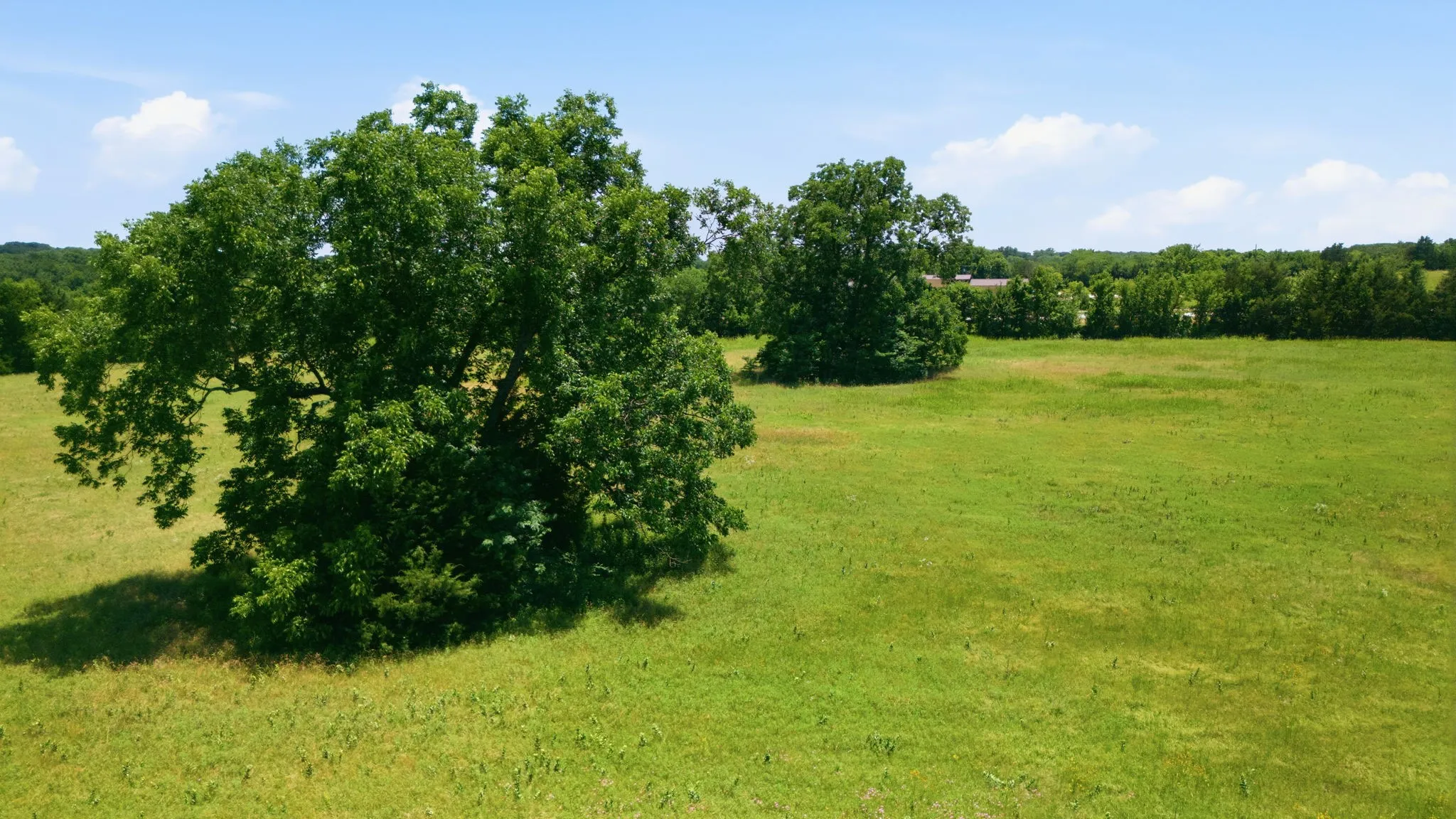Unimproved Land For Sale in Grayson County , 000 US Hwy 82, Sherman, Texas 75092, 0, 0, Garage spaces, 0 Sqft, built in 0, Price $1,200,000, mls#21286344, Real Estate Agent in Sherman, Homes For Sale in Grayson county, Homes For Sale in Sherman, Realtor in Sherman Texas, Real Estate Brokerage Independent Realty Texas, Luminita Cordes Realtor