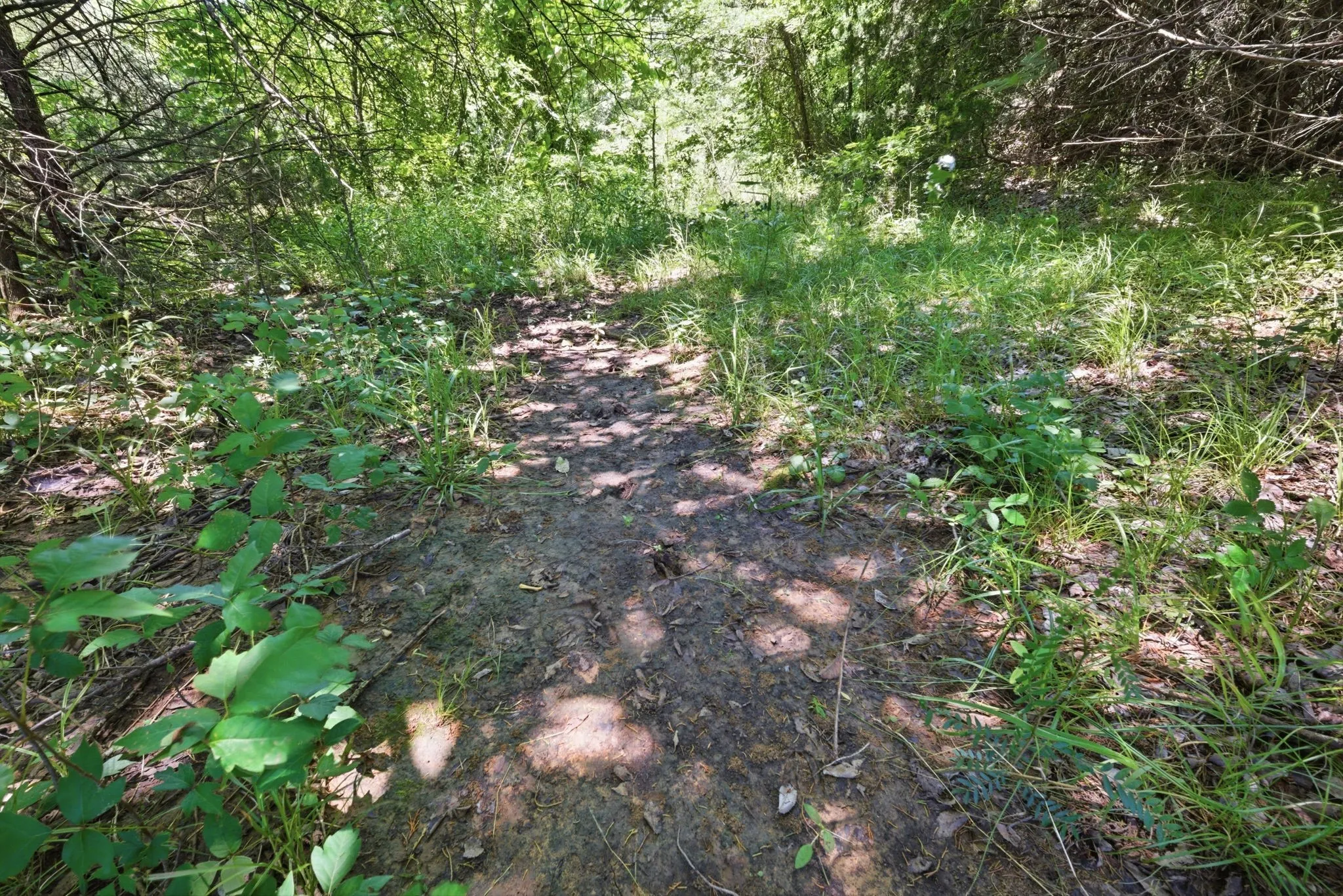 Unimproved Land For Sale in Grayson County , 000 US Hwy 82, Sherman, Texas 75092, 0, 0, Garage spaces, 0 Sqft, built in 0, Price $1,200,000, mls#21286344, Real Estate Agent in Sherman, Homes For Sale in Grayson county, Homes For Sale in Sherman, Realtor in Sherman Texas, Real Estate Brokerage Independent Realty Texas, Luminita Cordes Realtor