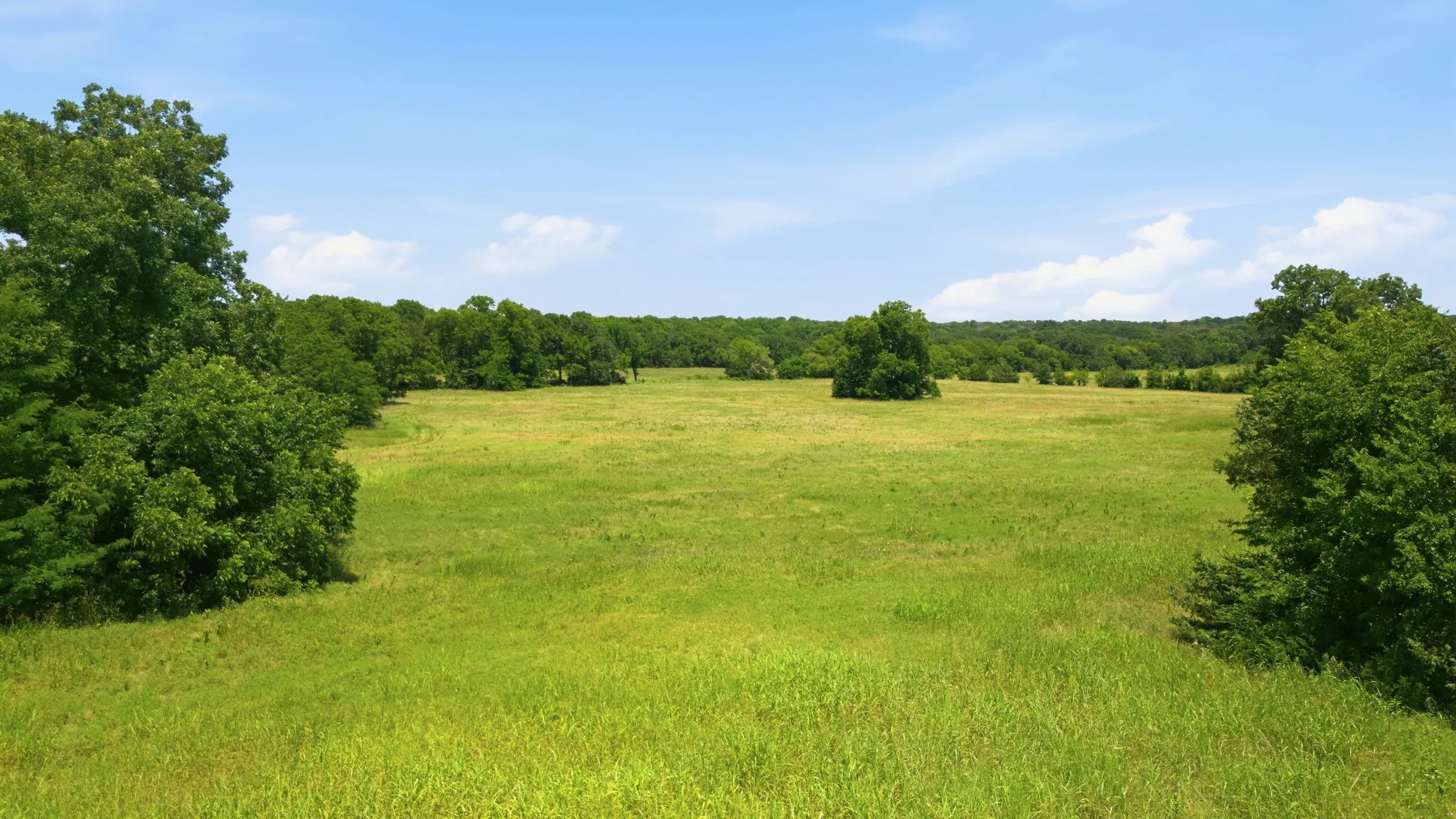 Unimproved Land For Sale in Grayson County , 000 US Hwy 82, Sherman, Texas 75092, 0, 0, Garage spaces, 0 Sqft, built in 0, Price $1,200,000, mls#21286344, Real Estate Agent in Sherman, Homes For Sale in Grayson county, Homes For Sale in Sherman, Realtor in Sherman Texas, Real Estate Brokerage Independent Realty Texas, Luminita Cordes Realtor