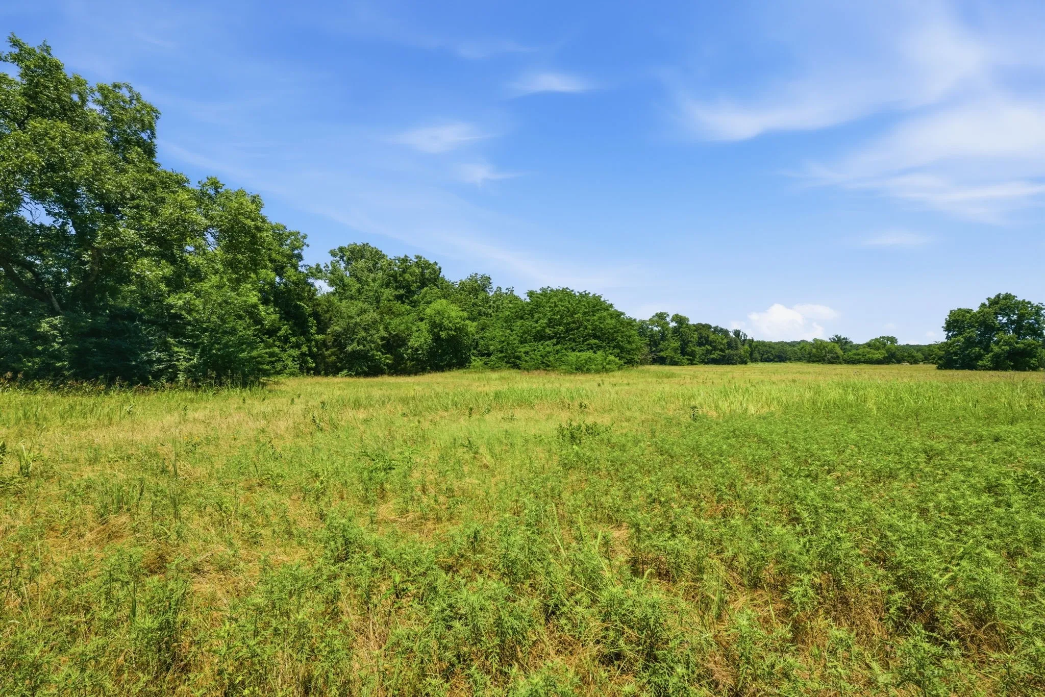 Unimproved Land For Sale in Grayson County , 000 US Hwy 82, Sherman, Texas 75092, 0, 0, Garage spaces, 0 Sqft, built in 0, Price $1,200,000, mls#21286344, Real Estate Agent in Sherman, Homes For Sale in Grayson county, Homes For Sale in Sherman, Realtor in Sherman Texas, Real Estate Brokerage Independent Realty Texas, Luminita Cordes Realtor
