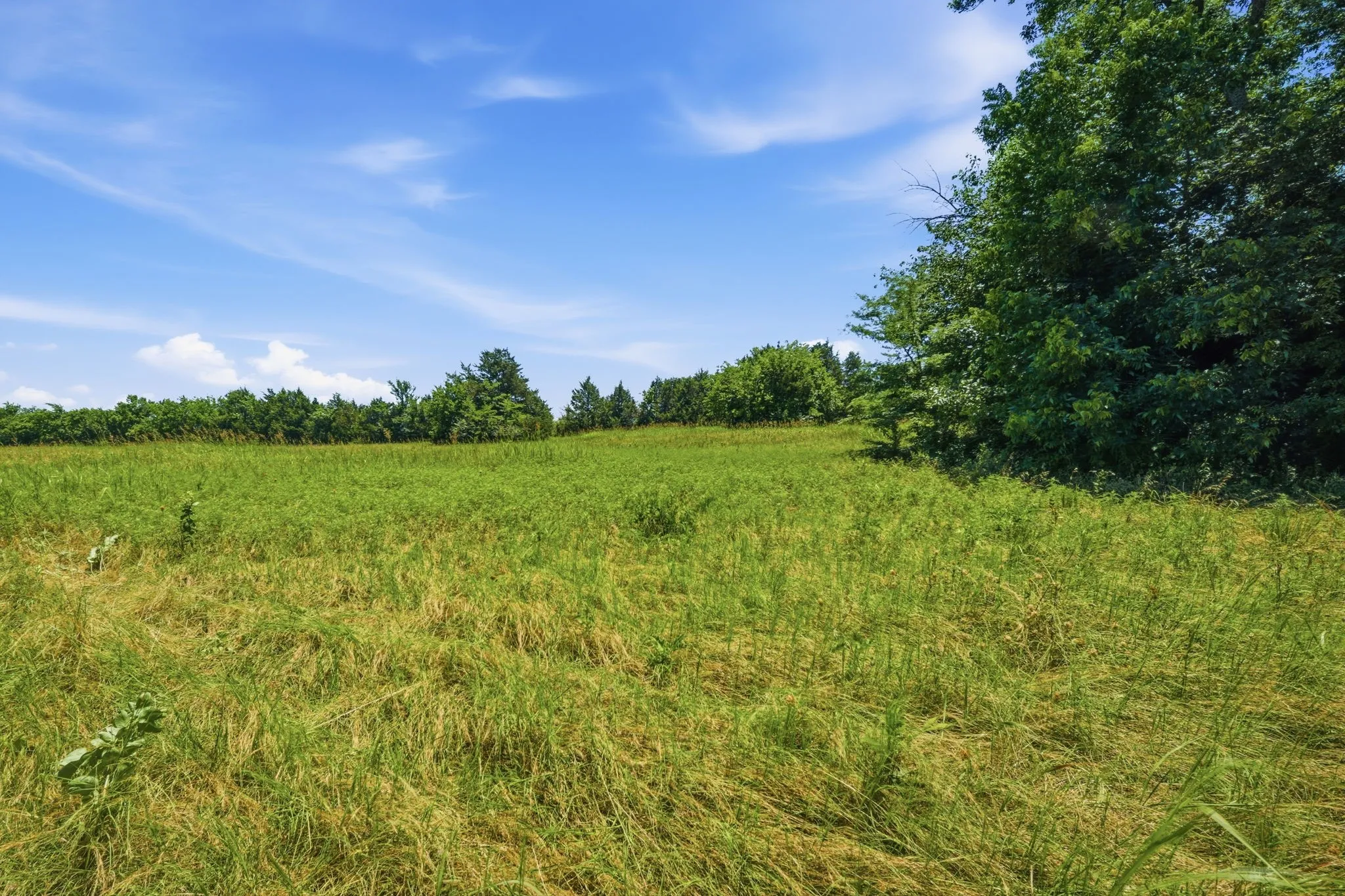 Unimproved Land For Sale in Grayson County , 000 US Hwy 82, Sherman, Texas 75092, 0, 0, Garage spaces, 0 Sqft, built in 0, Price $1,200,000, mls#21286344, Real Estate Agent in Sherman, Homes For Sale in Grayson county, Homes For Sale in Sherman, Realtor in Sherman Texas, Real Estate Brokerage Independent Realty Texas, Luminita Cordes Realtor