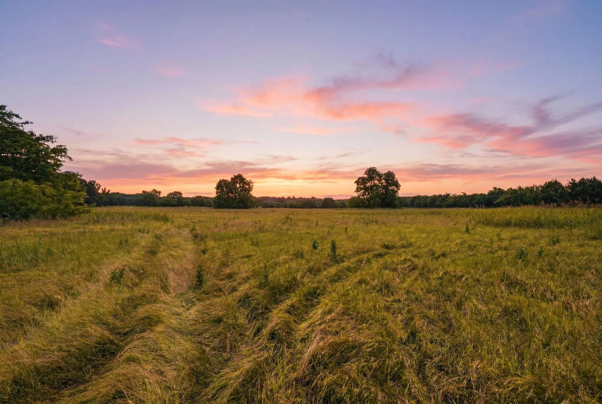 Unimproved Land For Sale in Grayson County , 000 US Hwy 82, Sherman, Texas 75092, 0, 0, Garage spaces, 0 Sqft, built in 0, Price $1,200,000, mls#21286344, Real Estate Agent in Sherman, Homes For Sale in Grayson county, Homes For Sale in Sherman, Realtor in Sherman Texas, Real Estate Brokerage Independent Realty Texas, Luminita Cordes Realtor
