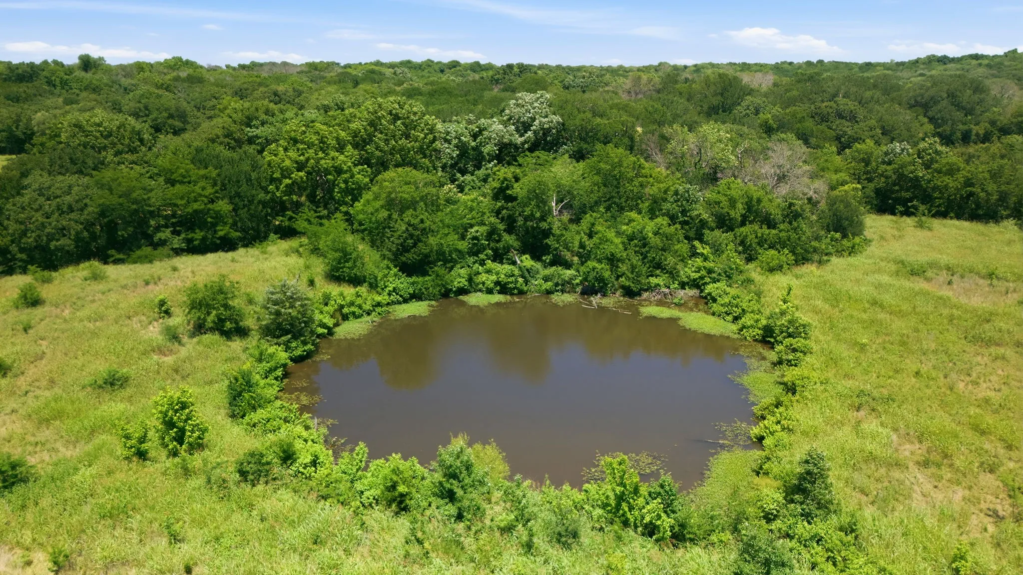 Unimproved Land For Sale in Grayson County , 000 US Hwy 82, Sherman, Texas 75092, 0, 0, Garage spaces, 0 Sqft, built in 0, Price $1,200,000, mls#21286344, Real Estate Agent in Sherman, Homes For Sale in Grayson county, Homes For Sale in Sherman, Realtor in Sherman Texas, Real Estate Brokerage Independent Realty Texas, Luminita Cordes Realtor