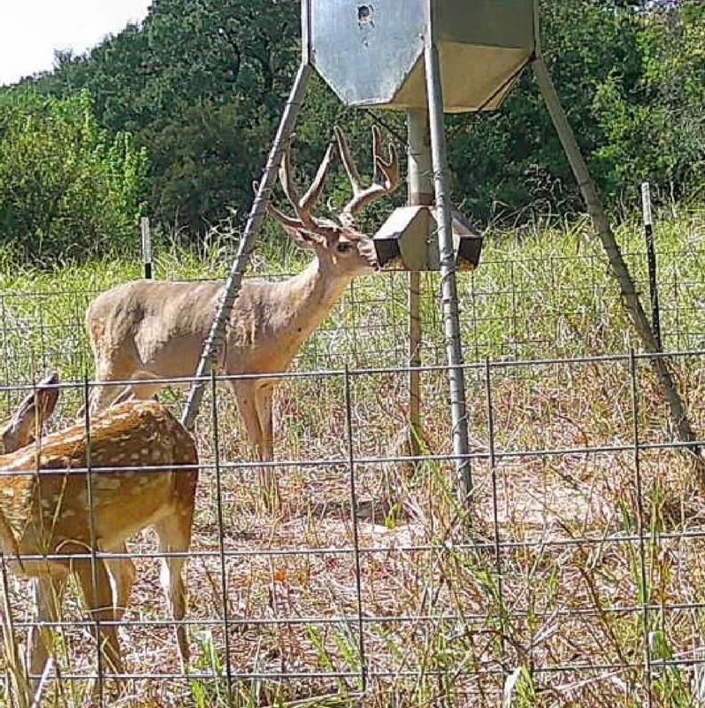Unimproved Land For Sale in Grayson County , 000 US Hwy 82, Sherman, Texas 75092, 0, 0, Garage spaces, 0 Sqft, built in 0, Price $1,200,000, mls#21286344, Real Estate Agent in Sherman, Homes For Sale in Grayson county, Homes For Sale in Sherman, Realtor in Sherman Texas, Real Estate Brokerage Independent Realty Texas, Luminita Cordes Realtor