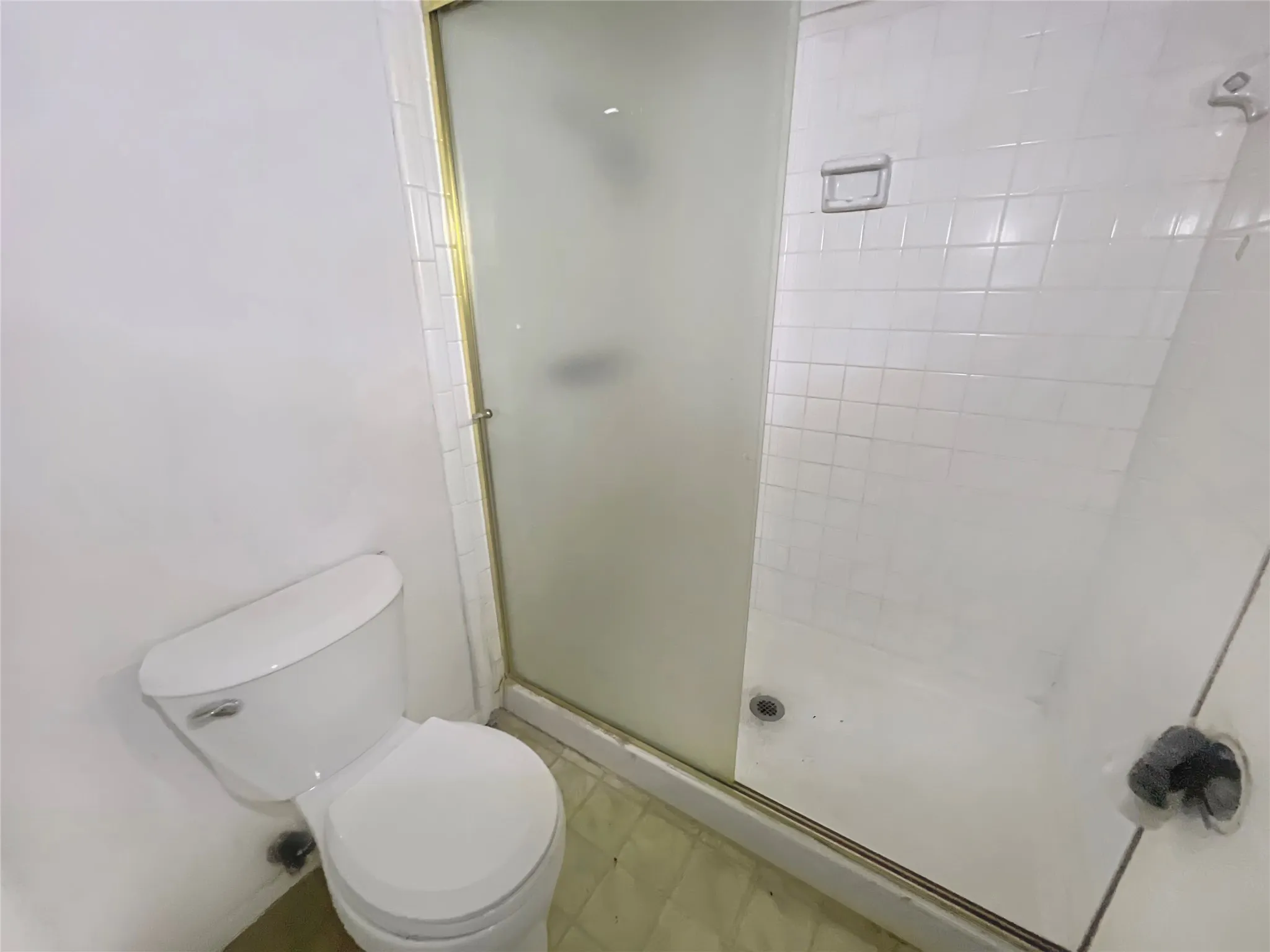 White ceramic toilet with a shower enclosure featuring a translucent door