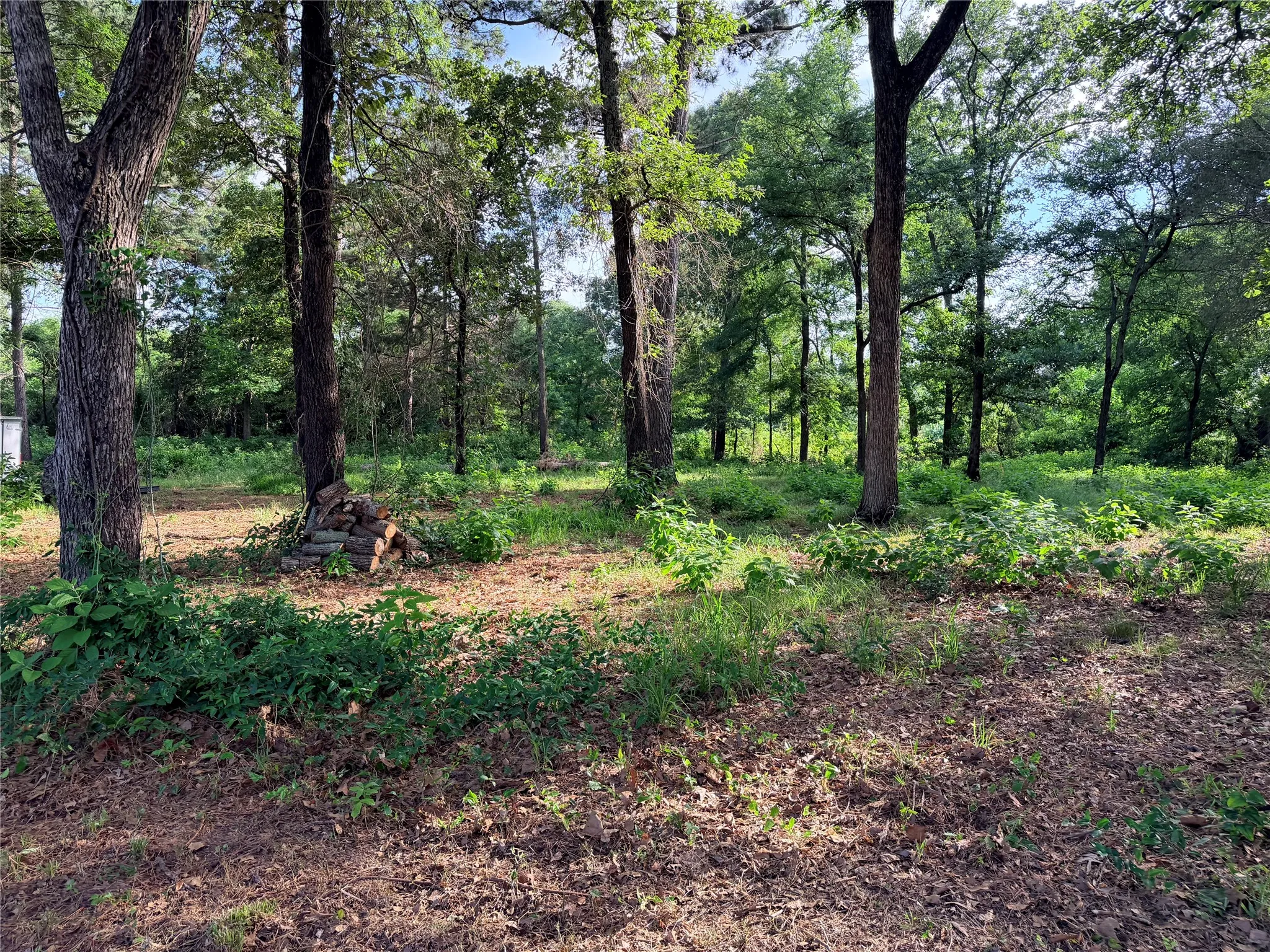 Farm For Sale in Van Zandt County , 1468 VZ County Road 4207, Canton, Texas 75103, 2 Bedroom, 2 Bathroom, Garage spaces, 820 Sqft, built in 2025, mls#21286254, Real Estate Agent in Canton, Homes For Sale in Van Zandt county, Homes For Sale in Canton, Realtor in Canton Texas, Real Estate Brokerage Independent Realty Texas, Luminita Cordes Realtor