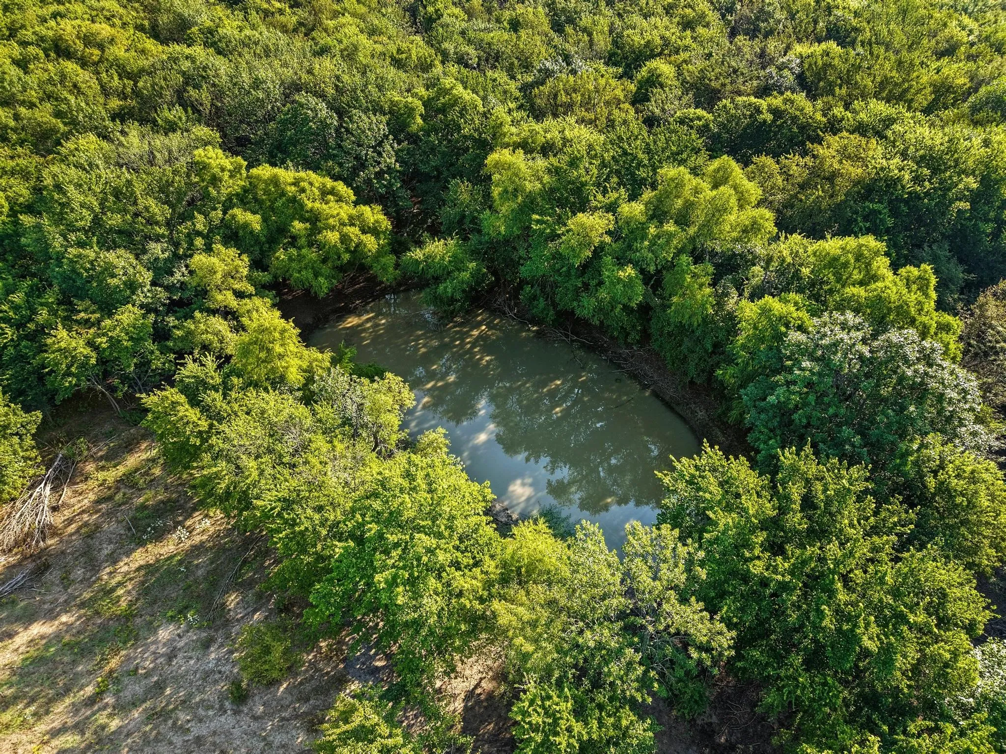 Unimproved Land For Sale in Collin County , 8194 Private Road 5406, Blue Ridge, Texas 75424, 0, 0, Garage spaces, 0 Sqft, built in 0, Price $249,900, mls#21286191, Real Estate Agent in Blue Ridge, Homes For Sale in Collin county, Homes For Sale in Blue Ridge, Realtor in Blue Ridge Texas, Real Estate Brokerage Independent Realty Texas, Luminita Cordes Realtor