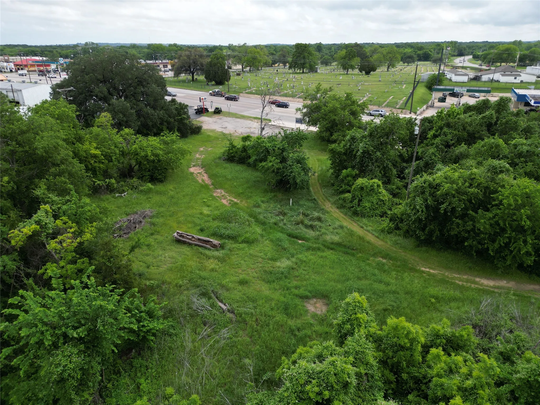 Expansive green space with abundant trees and a clear path