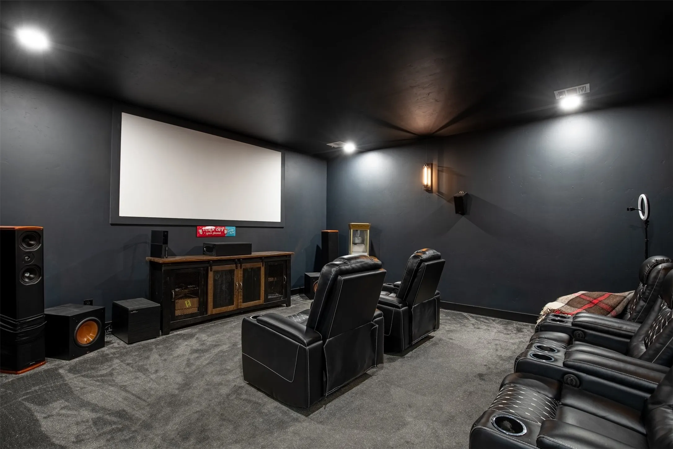Dedicated media room featuring a large projection screen and insulted for privacy