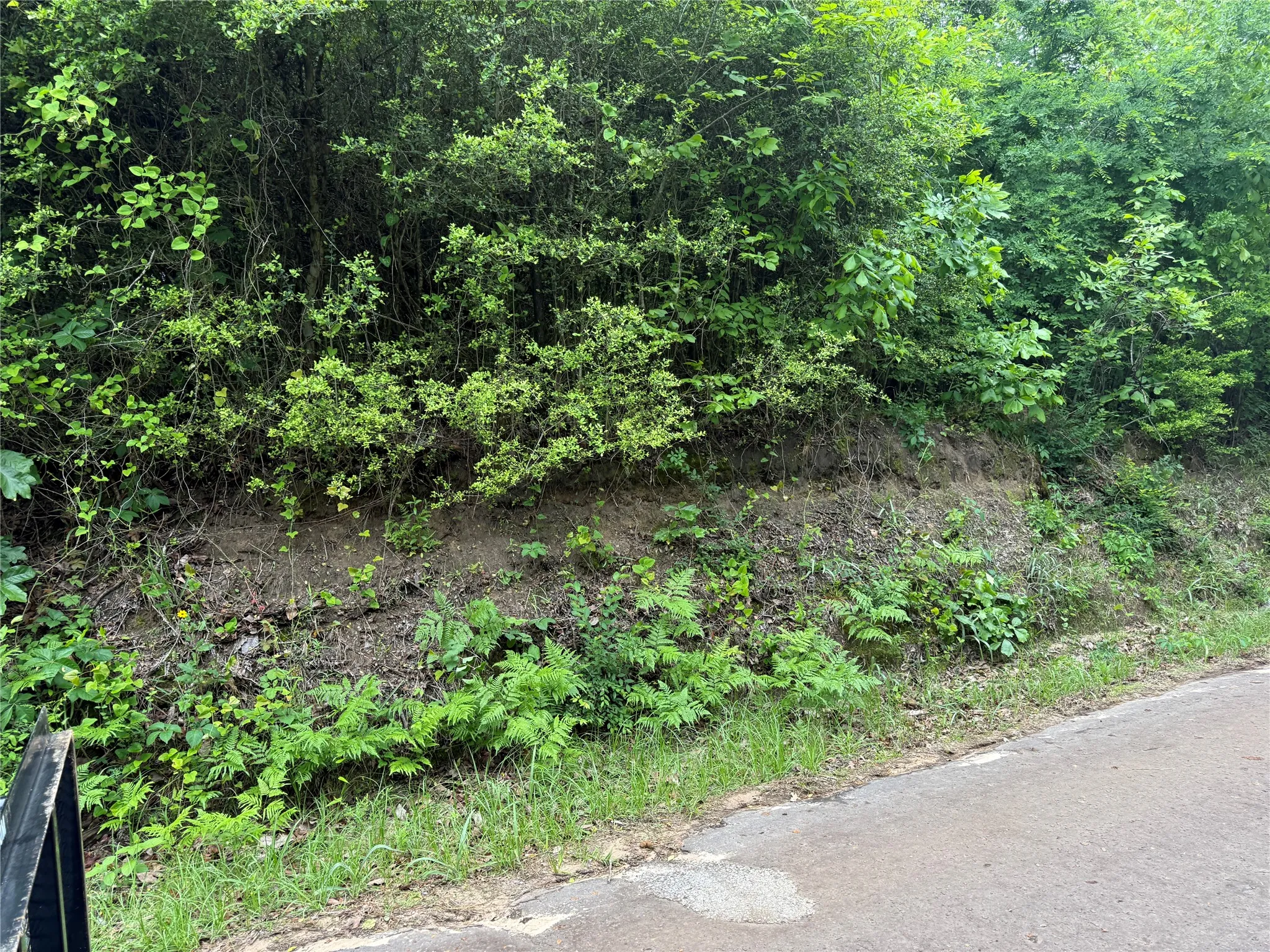Unimproved Land For Sale in Cass County , TBD Hwy 11, Linden, Texas 76653, 0, 0, Garage spaces, 0 Sqft, built in 0, Price $52,000, mls#21272674, Real Estate Agent in Linden, Homes For Sale in Cass county, Homes For Sale in Linden, Realtor in Linden Texas, Real Estate Brokerage Independent Realty Texas, Luminita Cordes Realtor