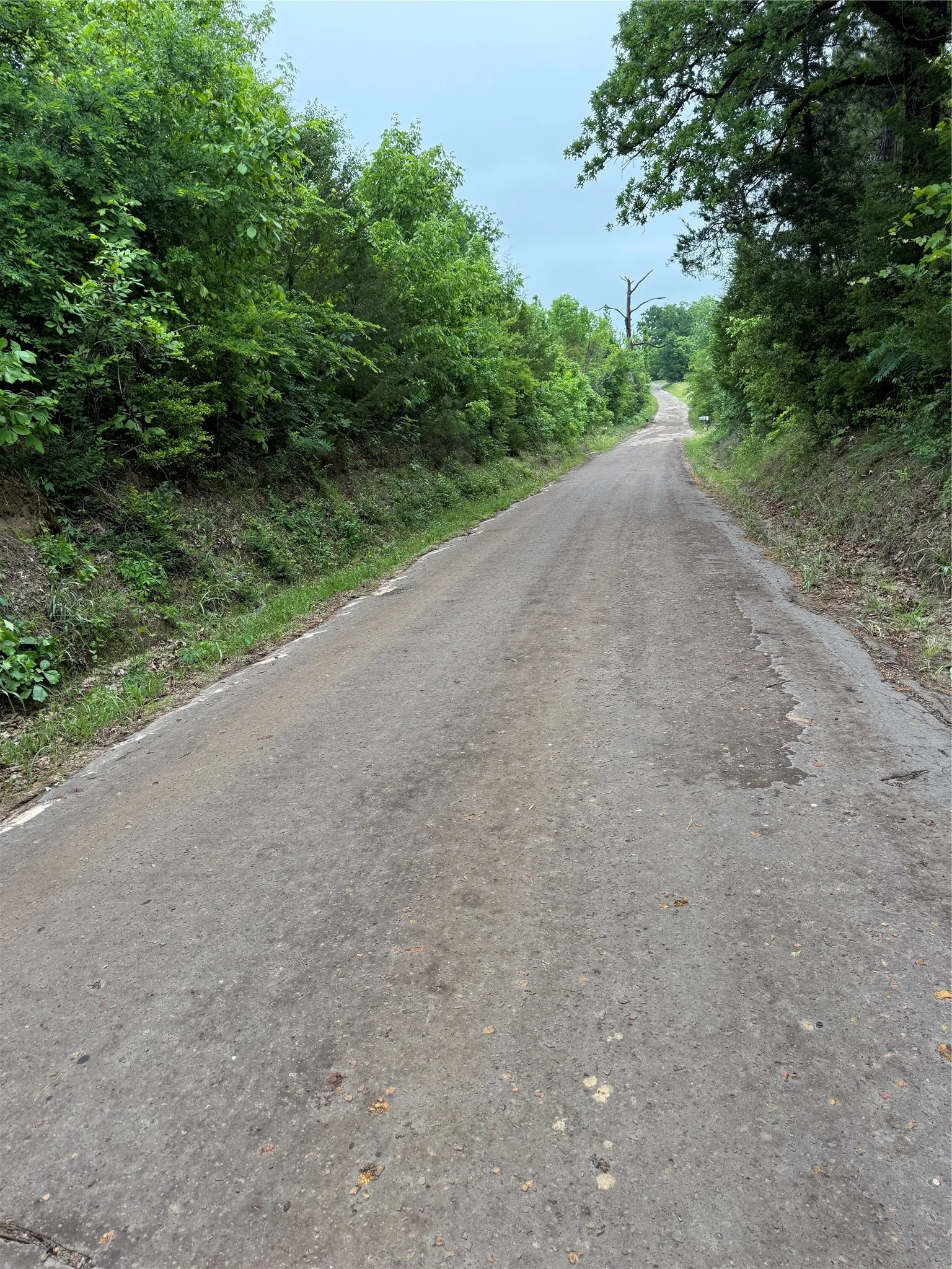 Unimproved Land For Sale in Cass County , TBD Hwy 11, Linden, Texas 76653, 0, 0, Garage spaces, 0 Sqft, built in 0, Price $52,000, mls#21272674, Real Estate Agent in Linden, Homes For Sale in Cass county, Homes For Sale in Linden, Realtor in Linden Texas, Real Estate Brokerage Independent Realty Texas, Luminita Cordes Realtor