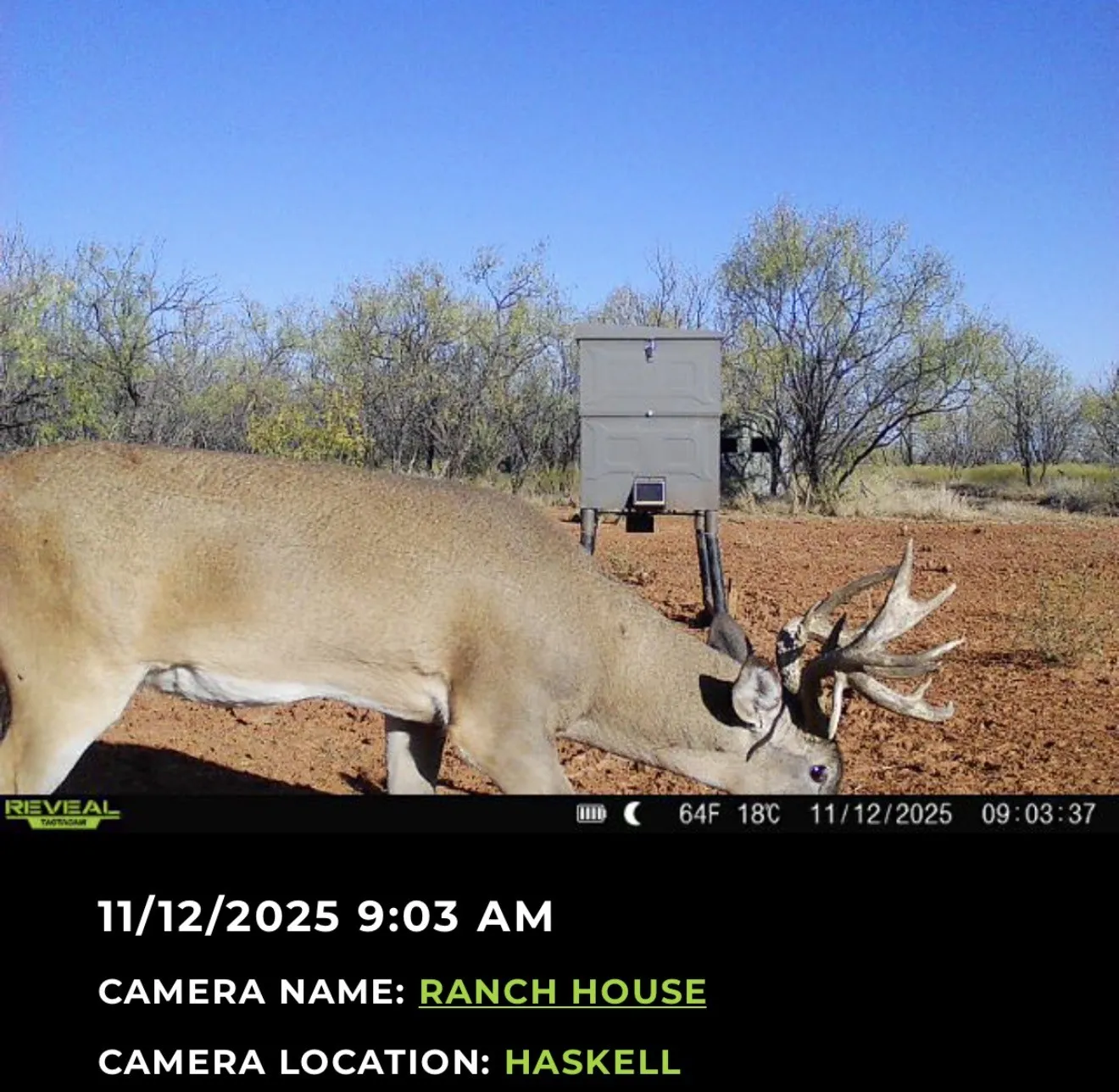 Ranch For Sale in Haskell County , 2607 US 380 East, Haskell, Texas 79521, 0, 0, Garage spaces, 0 Sqft, built in 2023, Price $1,750,000, mls#21286661, Real Estate Agent in Haskell, Homes For Sale in Haskell county, Homes For Sale in Haskell, Realtor in Haskell Texas, Real Estate Brokerage Independent Realty Texas, Luminita Cordes Realtor