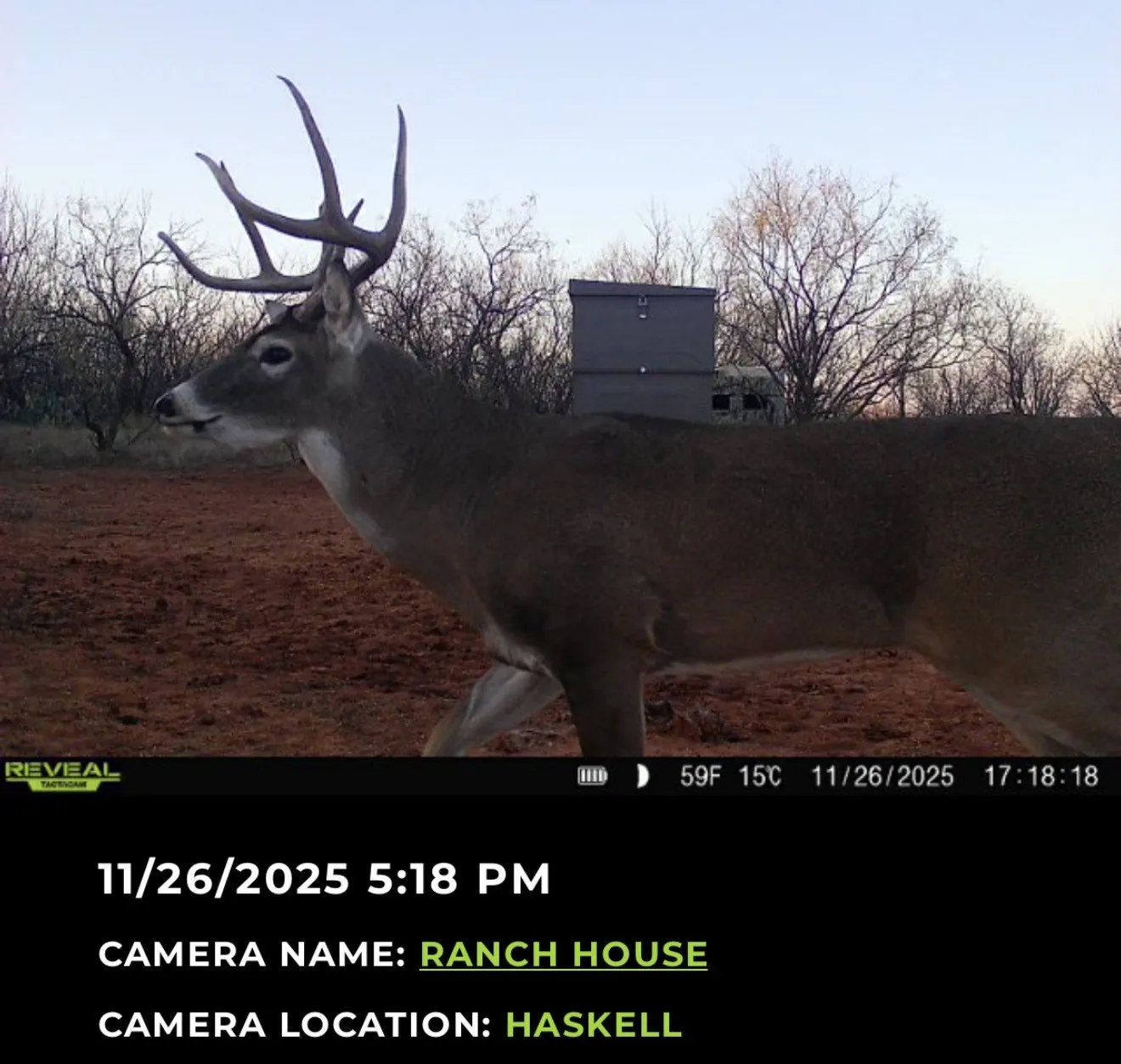 Ranch For Sale in Haskell County , 2607 US 380 East, Haskell, Texas 79521, 0, 0, Garage spaces, 0 Sqft, built in 2023, Price $1,750,000, mls#21286661, Real Estate Agent in Haskell, Homes For Sale in Haskell county, Homes For Sale in Haskell, Realtor in Haskell Texas, Real Estate Brokerage Independent Realty Texas, Luminita Cordes Realtor