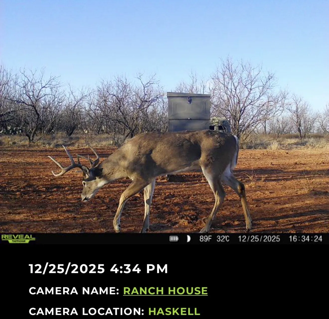 Ranch For Sale in Haskell County , 2607 US 380 East, Haskell, Texas 79521, 0, 0, Garage spaces, 0 Sqft, built in 2023, Price $1,750,000, mls#21286661, Real Estate Agent in Haskell, Homes For Sale in Haskell county, Homes For Sale in Haskell, Realtor in Haskell Texas, Real Estate Brokerage Independent Realty Texas, Luminita Cordes Realtor