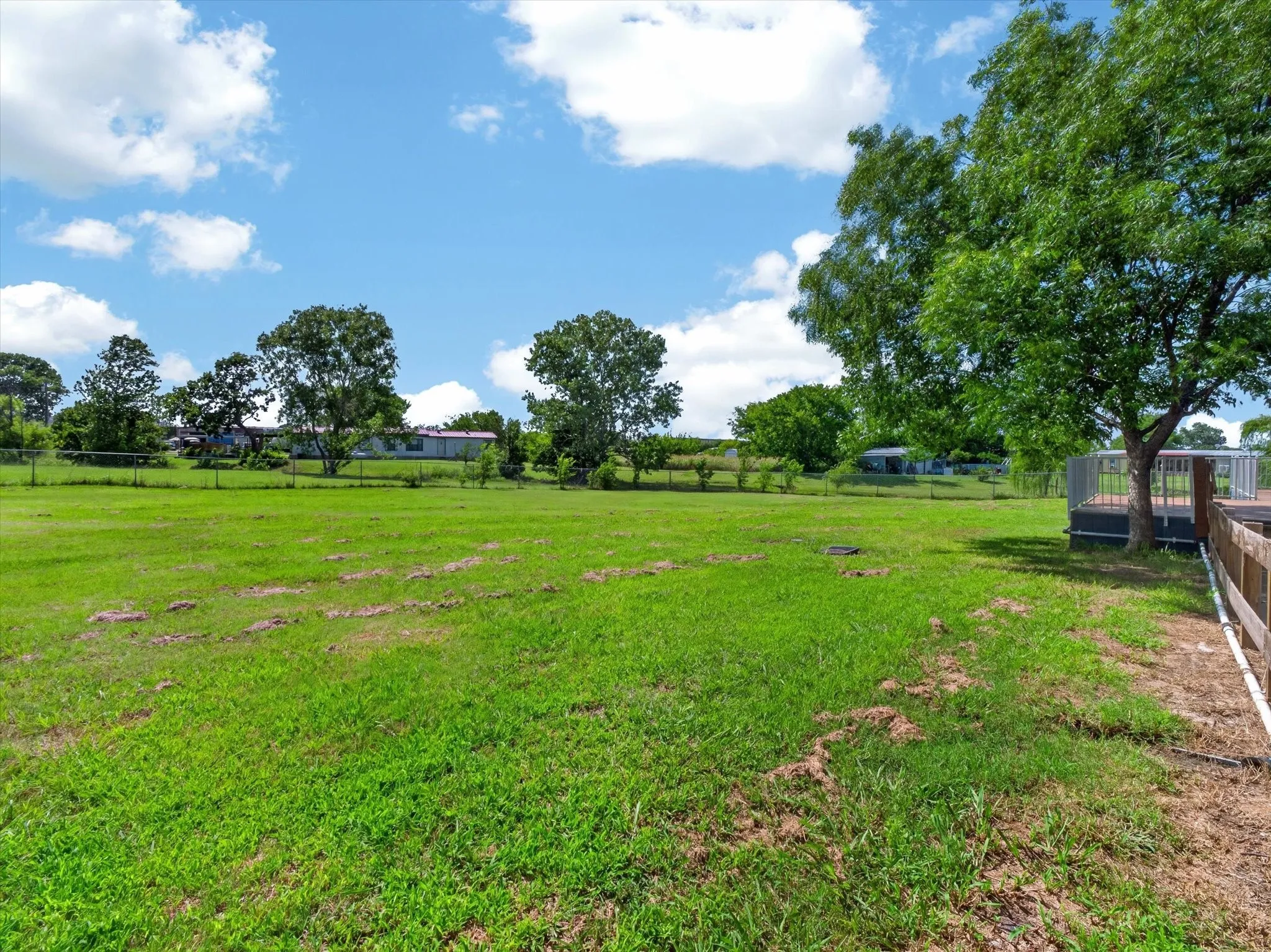 Large backyard