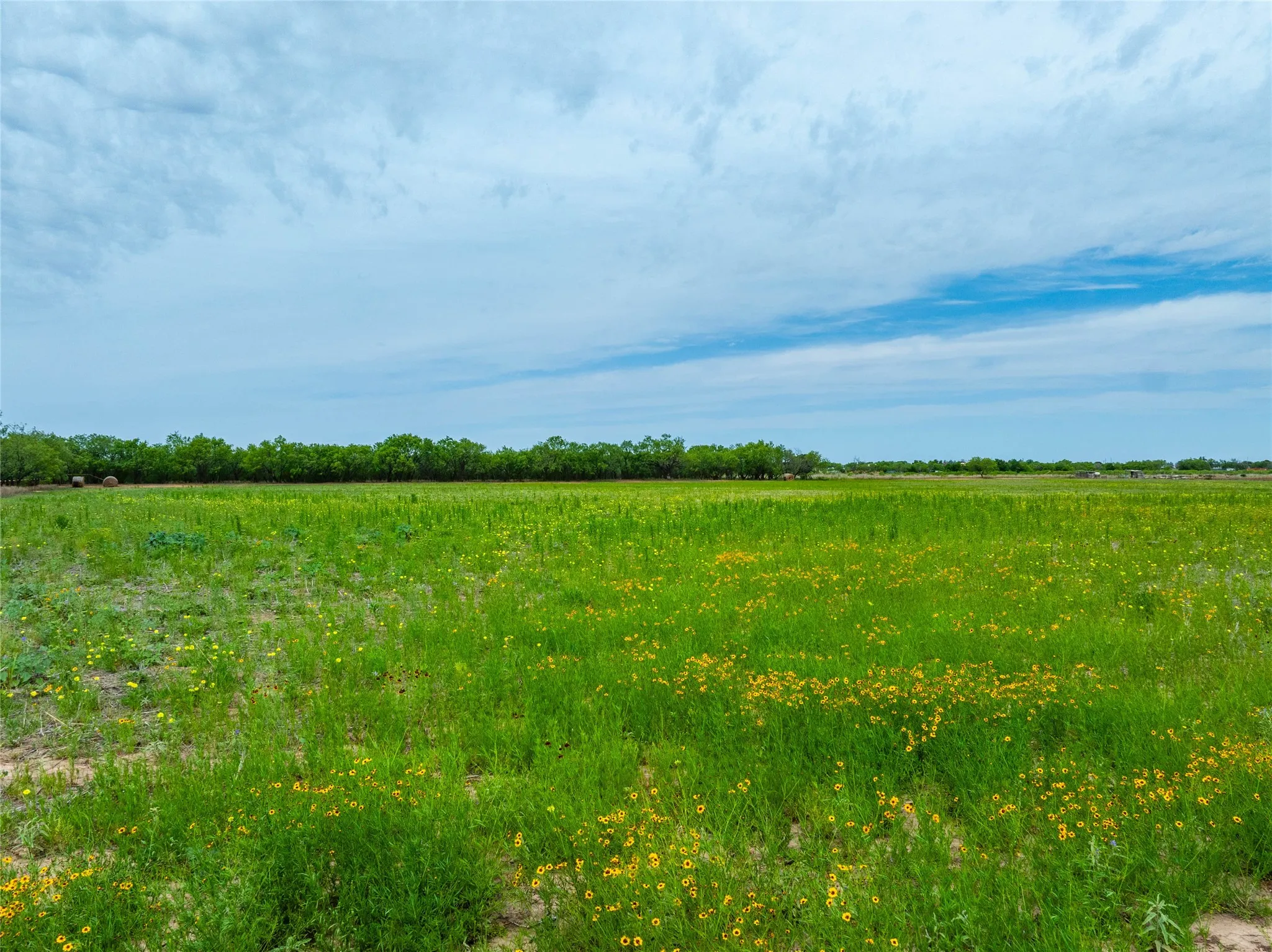 Unimproved Land For Sale in Jones County , Tbd FM 2404, Hawley, Texas 79525, 0, 0, Garage spaces, 0 Sqft, built in 0, Price $180,000, mls#21286721, Real Estate Agent in Hawley, Homes For Sale in Jones county, Homes For Sale in Hawley, Realtor in Hawley Texas, Real Estate Brokerage Independent Realty Texas, Luminita Cordes Realtor