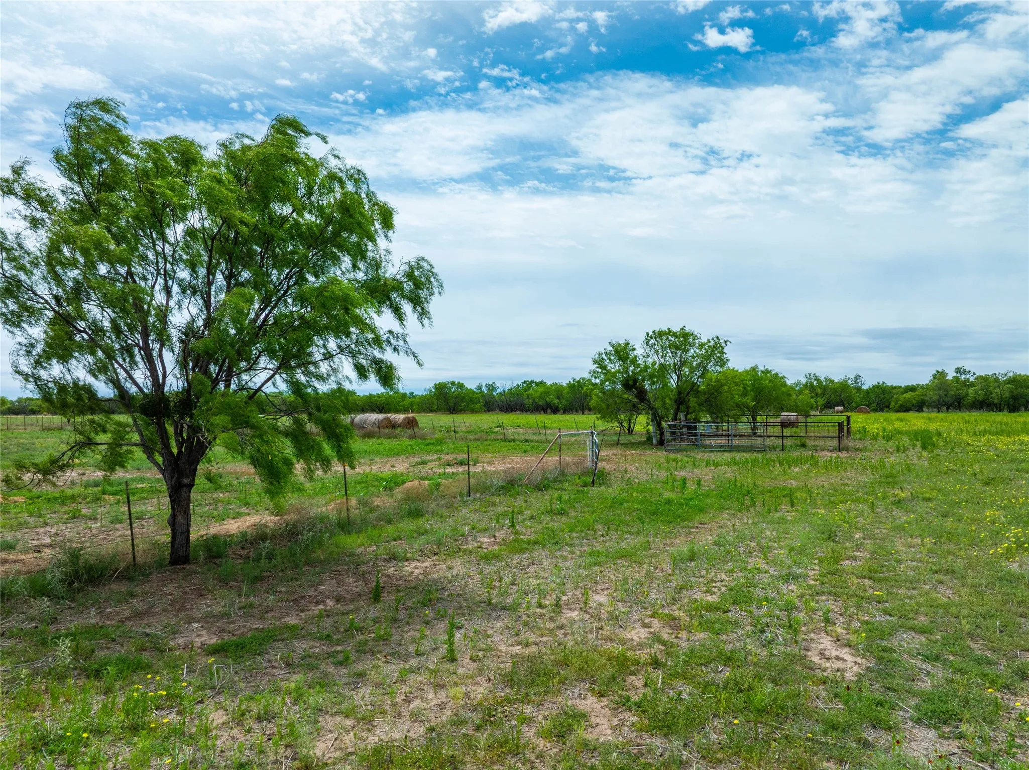 Unimproved Land For Sale in Jones County , Tbd FM 2404, Hawley, Texas 79525, 0, 0, Garage spaces, 0 Sqft, built in 0, Price $180,000, mls#21286721, Real Estate Agent in Hawley, Homes For Sale in Jones county, Homes For Sale in Hawley, Realtor in Hawley Texas, Real Estate Brokerage Independent Realty Texas, Luminita Cordes Realtor