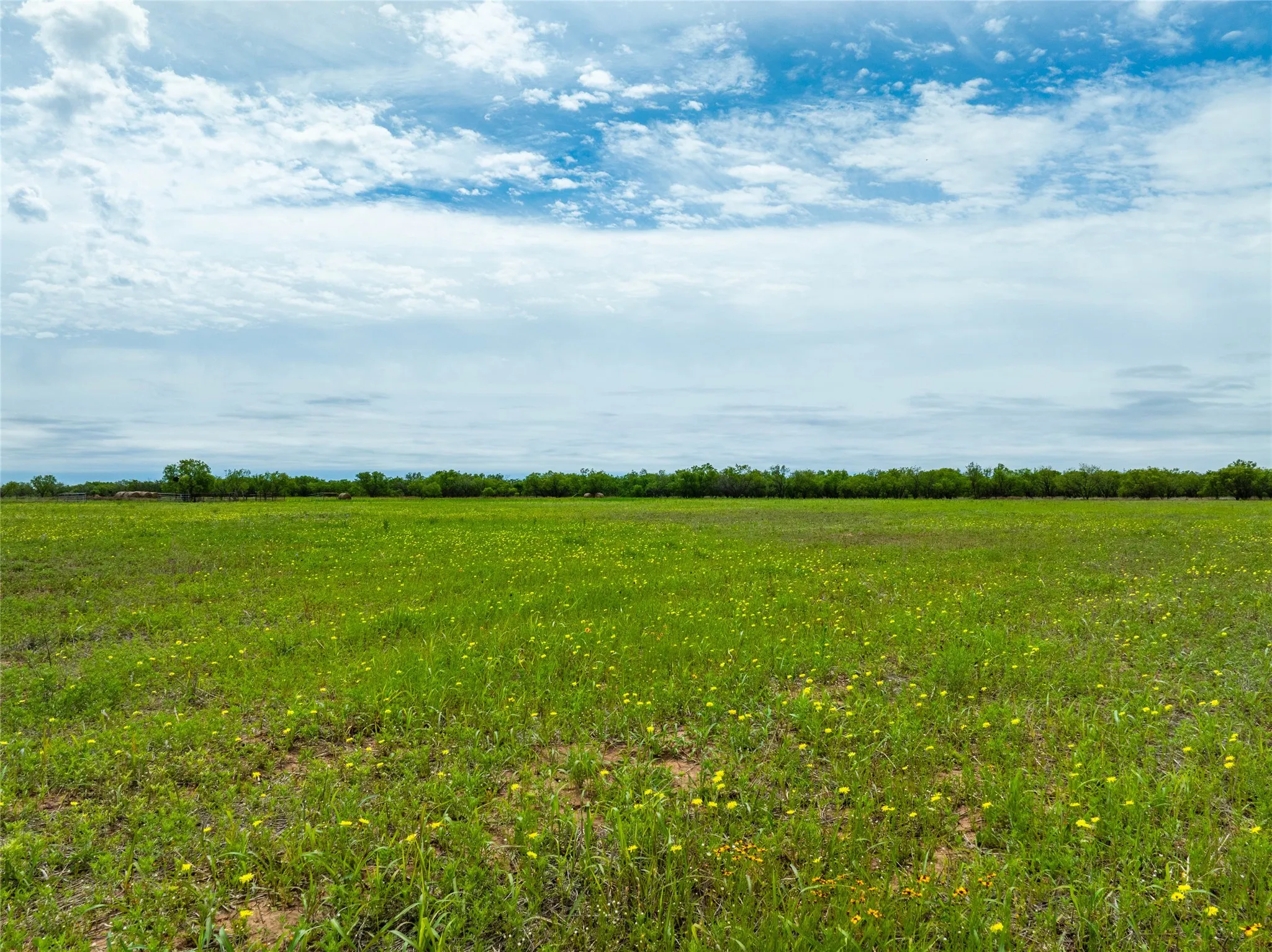 Unimproved Land For Sale in Jones County , Tbd FM 2404, Hawley, Texas 79525, 0, 0, Garage spaces, 0 Sqft, built in 0, Price $180,000, mls#21286721, Real Estate Agent in Hawley, Homes For Sale in Jones county, Homes For Sale in Hawley, Realtor in Hawley Texas, Real Estate Brokerage Independent Realty Texas, Luminita Cordes Realtor