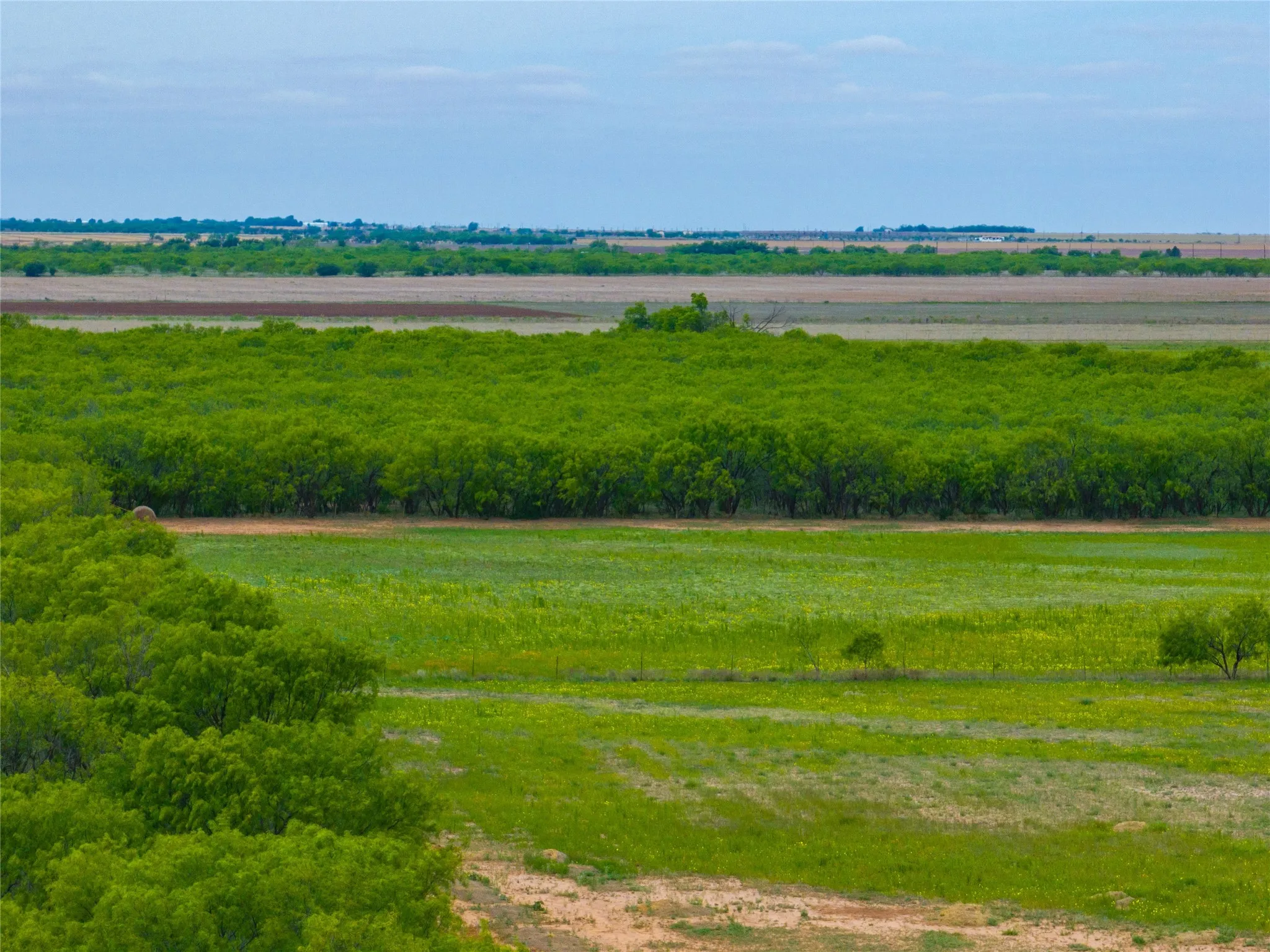 Unimproved Land For Sale in Jones County , Tbd FM 2404, Hawley, Texas 79525, 0, 0, Garage spaces, 0 Sqft, built in 0, Price $180,000, mls#21286721, Real Estate Agent in Hawley, Homes For Sale in Jones county, Homes For Sale in Hawley, Realtor in Hawley Texas, Real Estate Brokerage Independent Realty Texas, Luminita Cordes Realtor