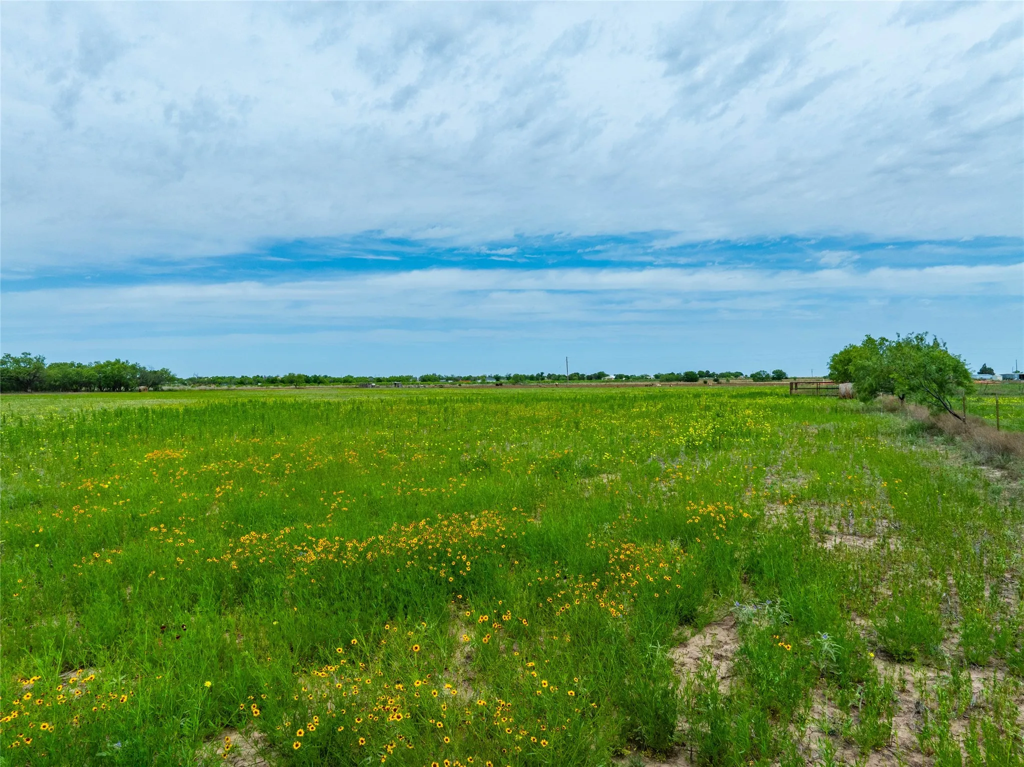 Unimproved Land For Sale in Jones County , Tbd FM 2404, Hawley, Texas 79525, 0, 0, Garage spaces, 0 Sqft, built in 0, Price $180,000, mls#21286721, Real Estate Agent in Hawley, Homes For Sale in Jones county, Homes For Sale in Hawley, Realtor in Hawley Texas, Real Estate Brokerage Independent Realty Texas, Luminita Cordes Realtor