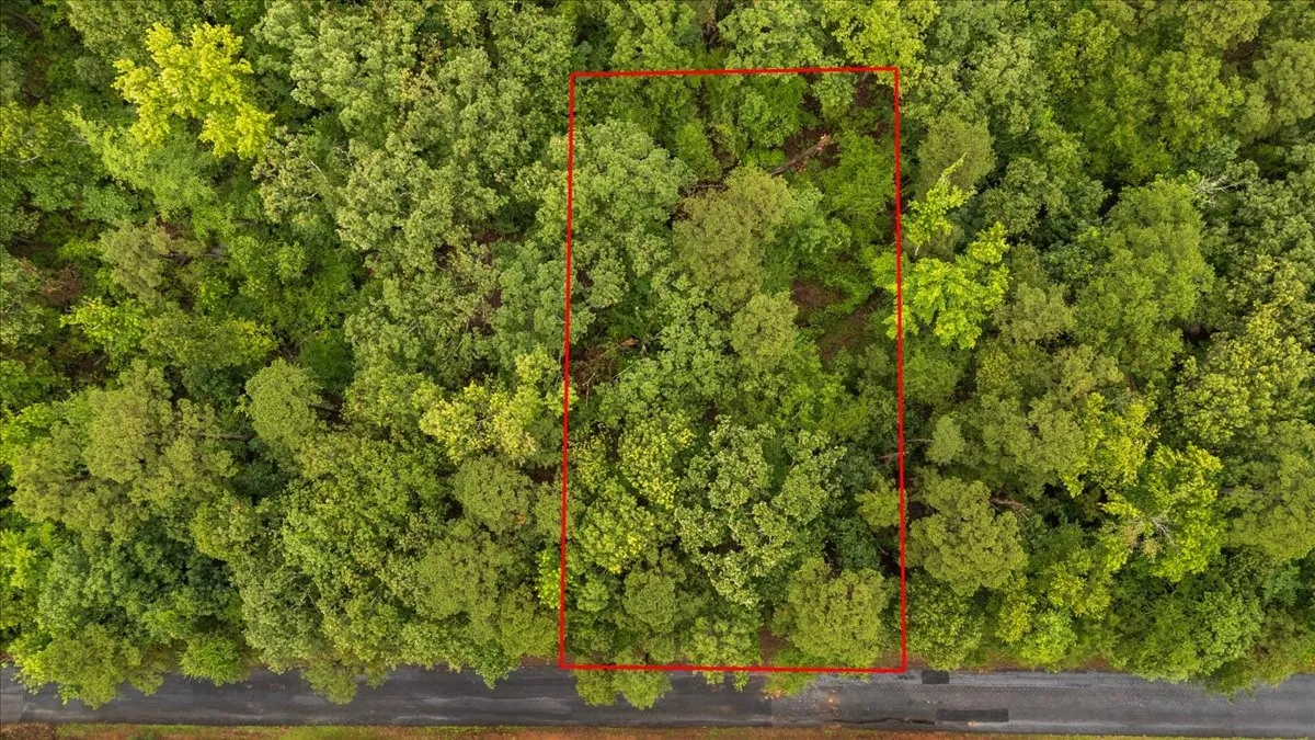 Unimproved Land For Sale in Franklin (TX) County , Lot 236 Canadian Drive, Scroggins, Texas 75480, 0, 0, Garage spaces, 0 Sqft, built in 0, Price $11,000, mls#21286625, Real Estate Agent in Scroggins, Homes For Sale in Franklin (TX) county, Homes For Sale in Scroggins, Realtor in Scroggins Texas, Real Estate Brokerage Independent Realty Texas, Luminita Cordes Realtor