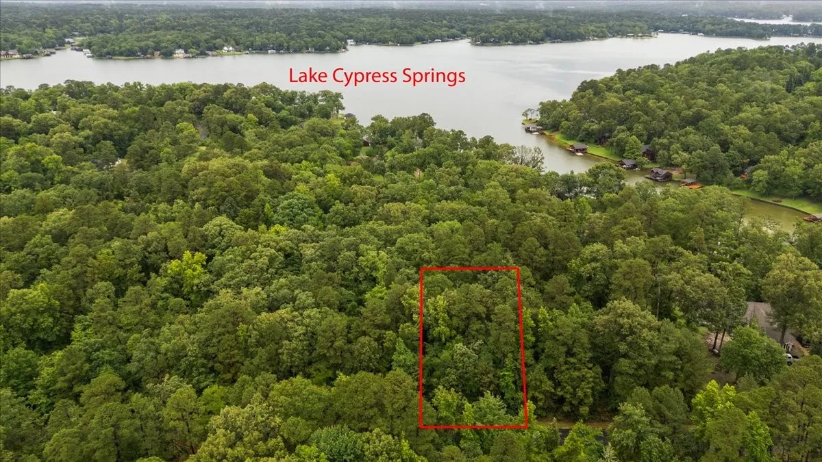 Unimproved Land For Sale in Franklin (TX) County , Lot 236 Canadian Drive, Scroggins, Texas 75480, 0, 0, Garage spaces, 0 Sqft, built in 0, Price $11,000, mls#21286625, Real Estate Agent in Scroggins, Homes For Sale in Franklin (TX) county, Homes For Sale in Scroggins, Realtor in Scroggins Texas, Real Estate Brokerage Independent Realty Texas, Luminita Cordes Realtor
