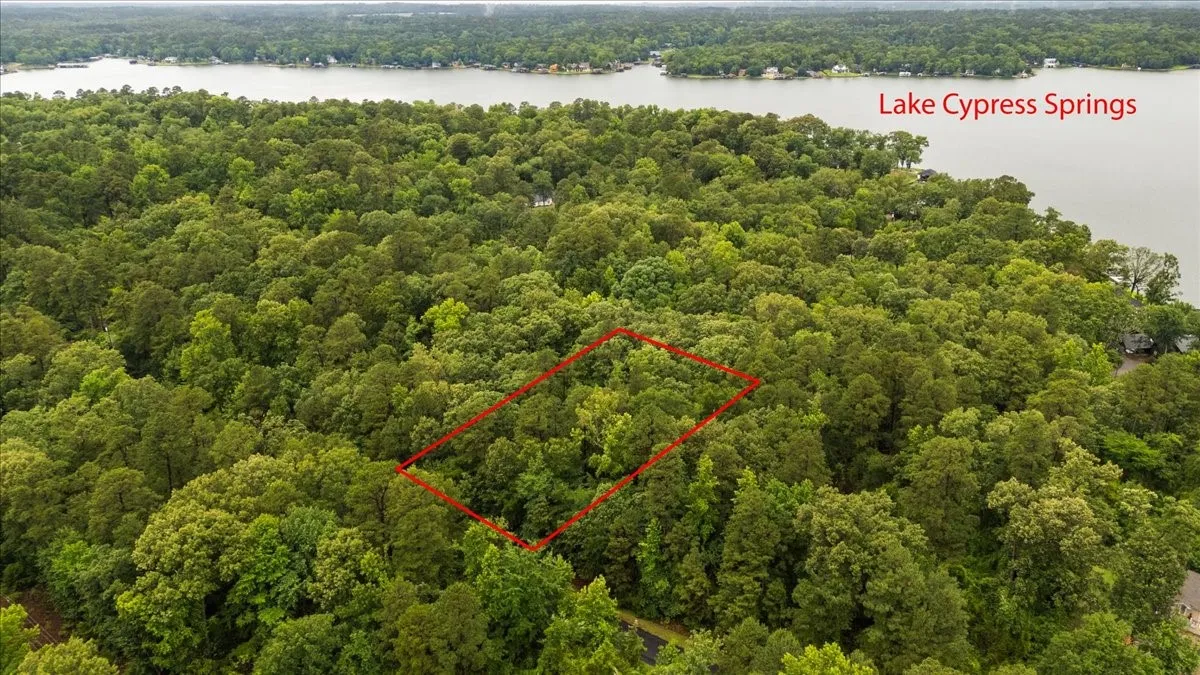 Unimproved Land For Sale in Franklin (TX) County , Lot 236 Canadian Drive, Scroggins, Texas 75480, 0, 0, Garage spaces, 0 Sqft, built in 0, Price $11,000, mls#21286625, Real Estate Agent in Scroggins, Homes For Sale in Franklin (TX) county, Homes For Sale in Scroggins, Realtor in Scroggins Texas, Real Estate Brokerage Independent Realty Texas, Luminita Cordes Realtor