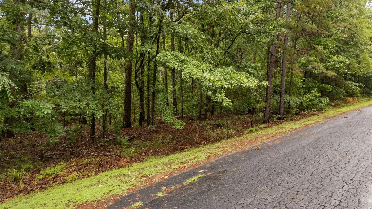 Unimproved Land For Sale in Franklin (TX) County , Lot 236 Canadian Drive, Scroggins, Texas 75480, 0, 0, Garage spaces, 0 Sqft, built in 0, Price $11,000, mls#21286625, Real Estate Agent in Scroggins, Homes For Sale in Franklin (TX) county, Homes For Sale in Scroggins, Realtor in Scroggins Texas, Real Estate Brokerage Independent Realty Texas, Luminita Cordes Realtor