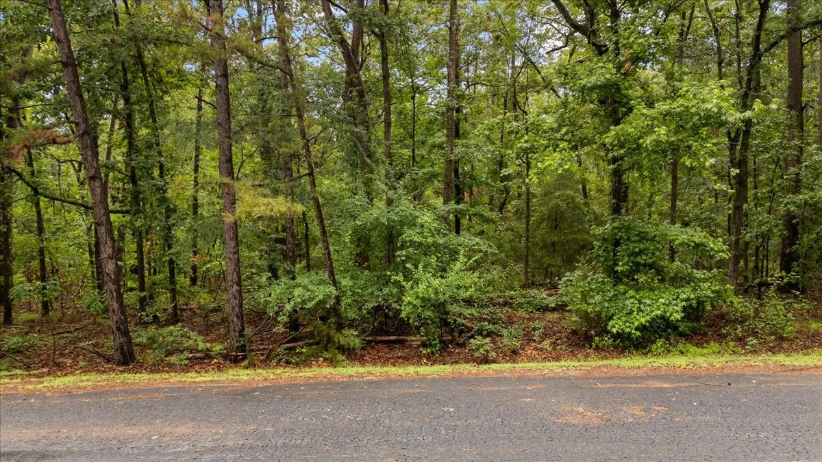 Unimproved Land For Sale in Franklin (TX) County , Lot 236 Canadian Drive, Scroggins, Texas 75480, 0, 0, Garage spaces, 0 Sqft, built in 0, Price $11,000, mls#21286625, Real Estate Agent in Scroggins, Homes For Sale in Franklin (TX) county, Homes For Sale in Scroggins, Realtor in Scroggins Texas, Real Estate Brokerage Independent Realty Texas, Luminita Cordes Realtor