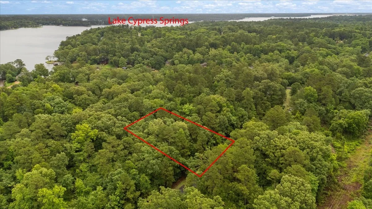 Unimproved Land For Sale in Franklin (TX) County , Lot 236 Canadian Drive, Scroggins, Texas 75480, 0, 0, Garage spaces, 0 Sqft, built in 0, Price $11,000, mls#21286625, Real Estate Agent in Scroggins, Homes For Sale in Franklin (TX) county, Homes For Sale in Scroggins, Realtor in Scroggins Texas, Real Estate Brokerage Independent Realty Texas, Luminita Cordes Realtor