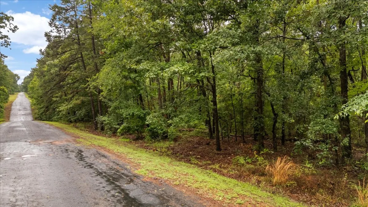 Unimproved Land For Sale in Franklin (TX) County , Lot 236 Canadian Drive, Scroggins, Texas 75480, 0, 0, Garage spaces, 0 Sqft, built in 0, Price $11,000, mls#21286625, Real Estate Agent in Scroggins, Homes For Sale in Franklin (TX) county, Homes For Sale in Scroggins, Realtor in Scroggins Texas, Real Estate Brokerage Independent Realty Texas, Luminita Cordes Realtor