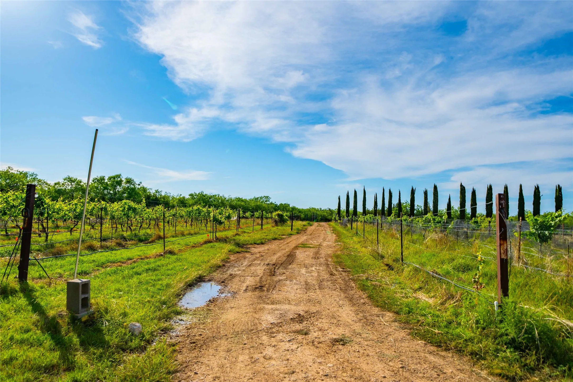 Improved Land For Sale in Concho County , 15051 Lake Ivie Drive, Millersview, Texas 76862, 0, 0, Garage spaces, 0 Sqft, built in 1990, Price $500,000, mls#21286727, Real Estate Agent in Millersview, Homes For Sale in Concho county, Homes For Sale in Millersview, Realtor in Millersview Texas, Real Estate Brokerage Independent Realty Texas, Luminita Cordes Realtor