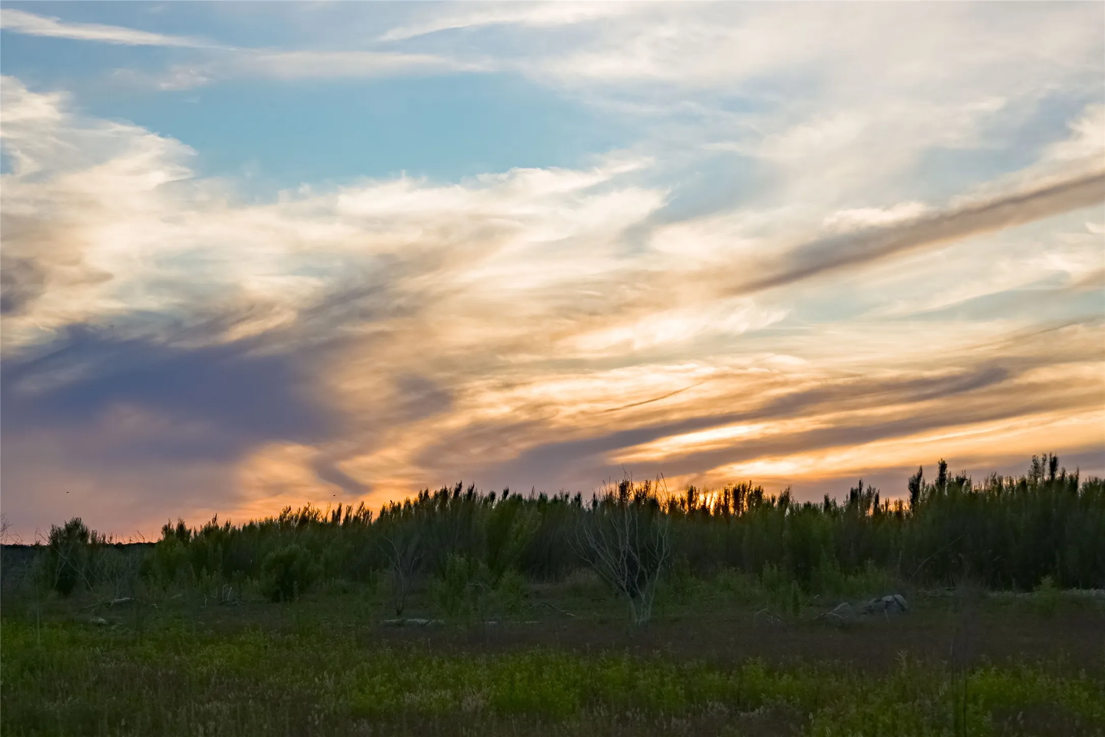 Improved Land For Sale in Concho County , 15051 Lake Ivie Drive, Millersview, Texas 76862, 0, 0, Garage spaces, 0 Sqft, built in 1990, Price $500,000, mls#21286727, Real Estate Agent in Millersview, Homes For Sale in Concho county, Homes For Sale in Millersview, Realtor in Millersview Texas, Real Estate Brokerage Independent Realty Texas, Luminita Cordes Realtor