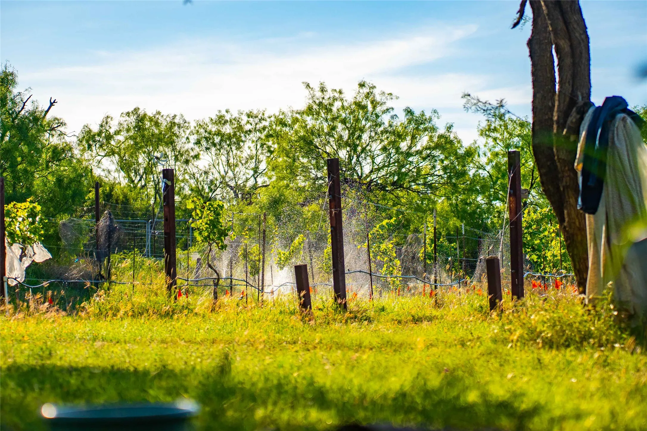 Improved Land For Sale in Concho County , 15051 Lake Ivie Drive, Millersview, Texas 76862, 0, 0, Garage spaces, 0 Sqft, built in 1990, Price $500,000, mls#21286727, Real Estate Agent in Millersview, Homes For Sale in Concho county, Homes For Sale in Millersview, Realtor in Millersview Texas, Real Estate Brokerage Independent Realty Texas, Luminita Cordes Realtor
