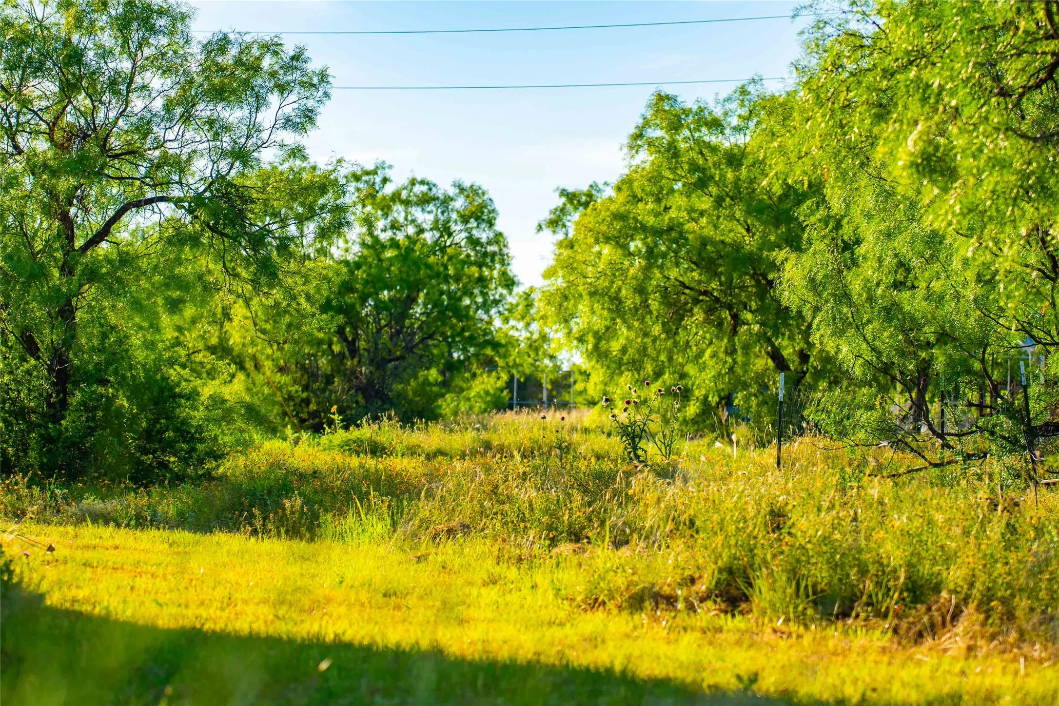 Improved Land For Sale in Concho County , 15051 Lake Ivie Drive, Millersview, Texas 76862, 0, 0, Garage spaces, 0 Sqft, built in 1990, Price $500,000, mls#21286727, Real Estate Agent in Millersview, Homes For Sale in Concho county, Homes For Sale in Millersview, Realtor in Millersview Texas, Real Estate Brokerage Independent Realty Texas, Luminita Cordes Realtor