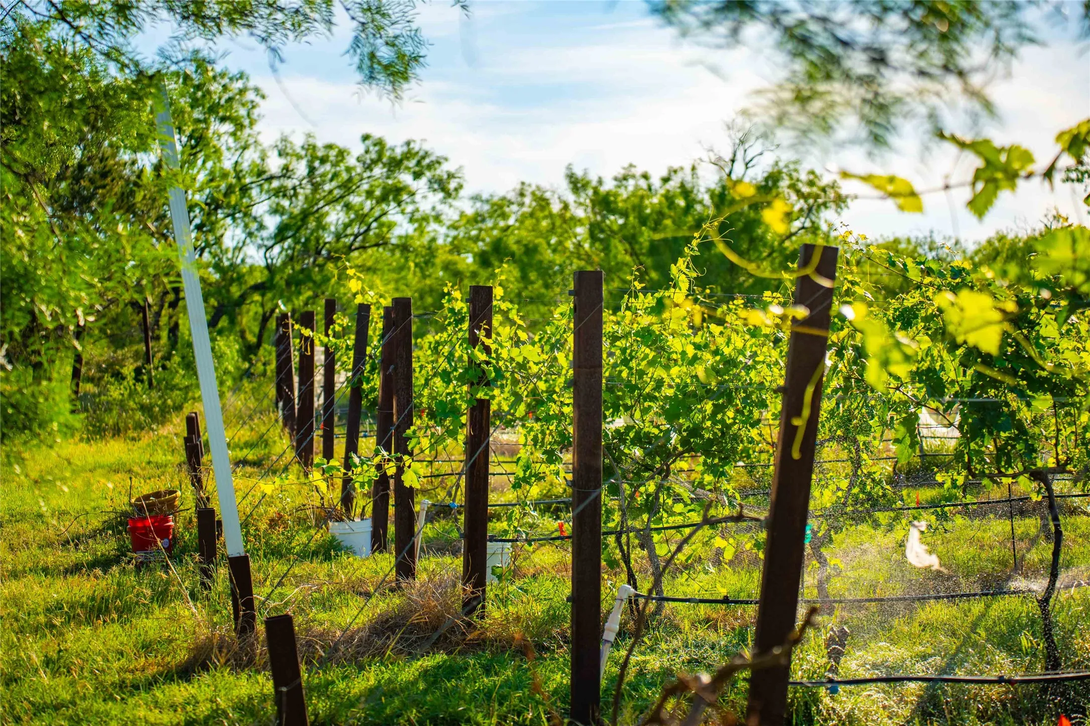 Improved Land For Sale in Concho County , 15051 Lake Ivie Drive, Millersview, Texas 76862, 0, 0, Garage spaces, 0 Sqft, built in 1990, Price $500,000, mls#21286727, Real Estate Agent in Millersview, Homes For Sale in Concho county, Homes For Sale in Millersview, Realtor in Millersview Texas, Real Estate Brokerage Independent Realty Texas, Luminita Cordes Realtor