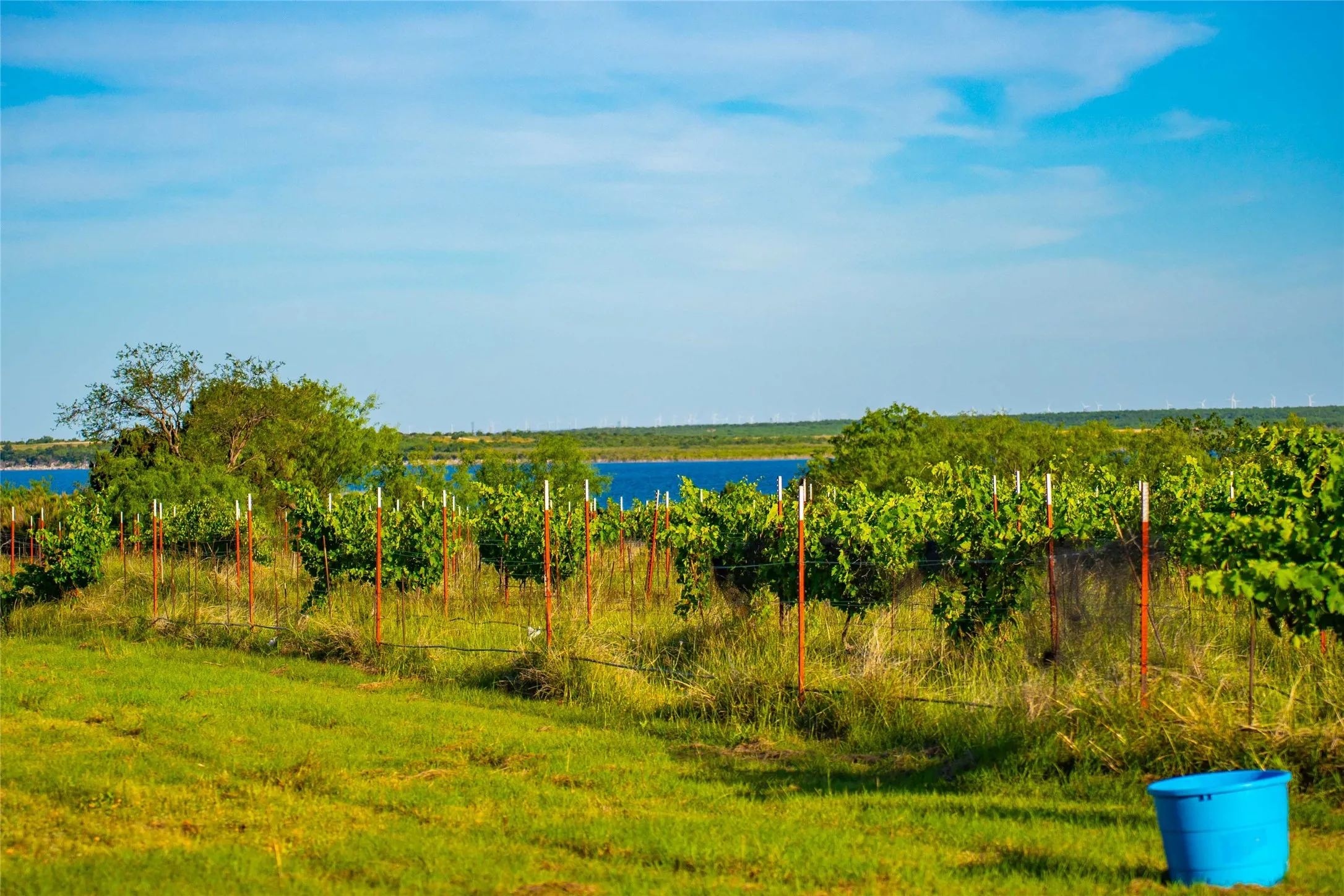 Improved Land For Sale in Concho County , 15051 Lake Ivie Drive, Millersview, Texas 76862, 0, 0, Garage spaces, 0 Sqft, built in 1990, Price $500,000, mls#21286727, Real Estate Agent in Millersview, Homes For Sale in Concho county, Homes For Sale in Millersview, Realtor in Millersview Texas, Real Estate Brokerage Independent Realty Texas, Luminita Cordes Realtor