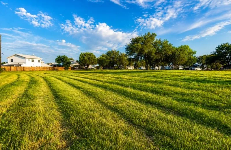 Expansive grassy lot with manicured rows, mature trees providing natural shade, and a partial wood fence defining a boundary
