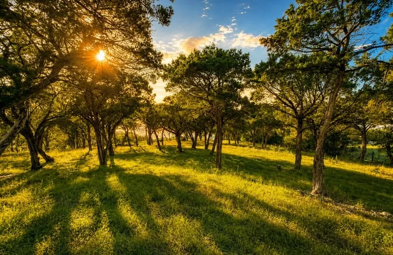 Unimproved Land For Sale in Hill County , 0TBD Yellowstone, Whitney, Texas 76692, 0, 0, Garage spaces, 0 Sqft, built in 0, mls#21285813, Real Estate Agent in Whitney, Homes For Sale in Hill county, Homes For Sale in Whitney, Realtor in Whitney Texas, Real Estate Brokerage Independent Realty Texas, Luminita Cordes Realtor