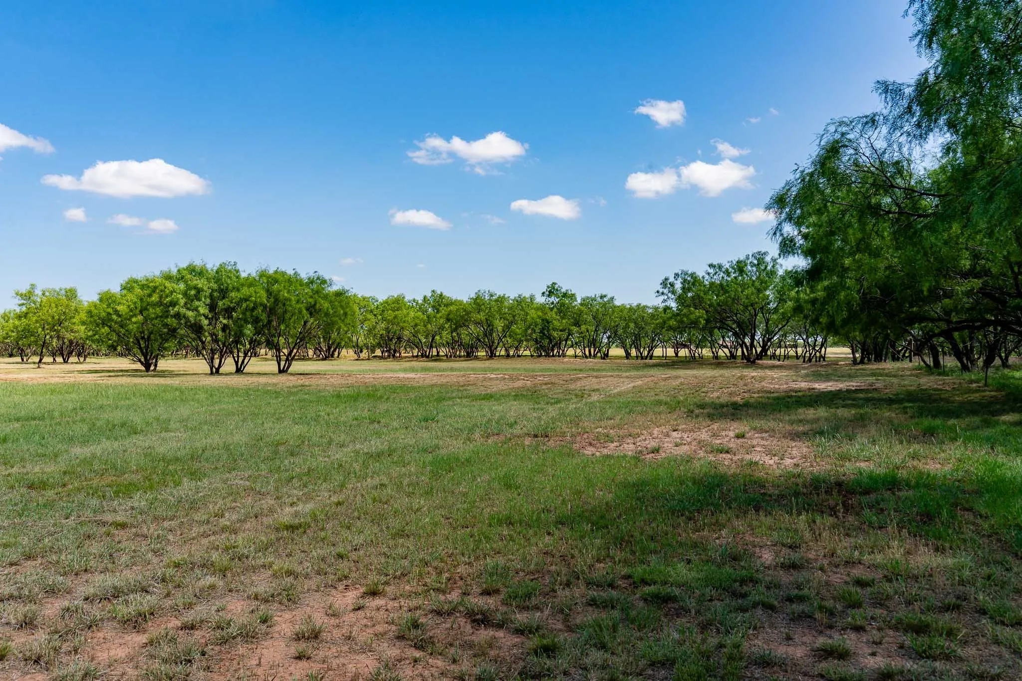 Single Family Residence For Sale in Jones County , 4946 County Road 410, Hawley, Texas 79525, 3 Bedrooms, 3 Bathrooms, 2 Garage spaces, 2,792 Sqft, built in 1984, Price $899,000, mls#21286747, Real Estate Agent in Hawley, Homes For Sale in Jones county, Homes For Sale in Hawley, Realtor in Hawley Texas, Real Estate Brokerage Independent Realty Texas, Luminita Cordes Realtor