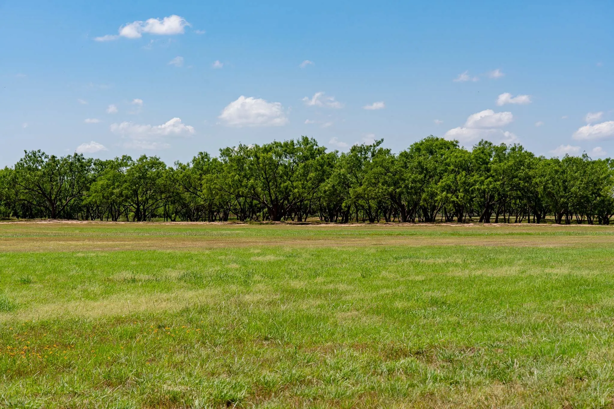 Single Family Residence For Sale in Jones County , 4946 County Road 410, Hawley, Texas 79525, 3 Bedrooms, 3 Bathrooms, 2 Garage spaces, 2,792 Sqft, built in 1984, Price $899,000, mls#21286747, Real Estate Agent in Hawley, Homes For Sale in Jones county, Homes For Sale in Hawley, Realtor in Hawley Texas, Real Estate Brokerage Independent Realty Texas, Luminita Cordes Realtor