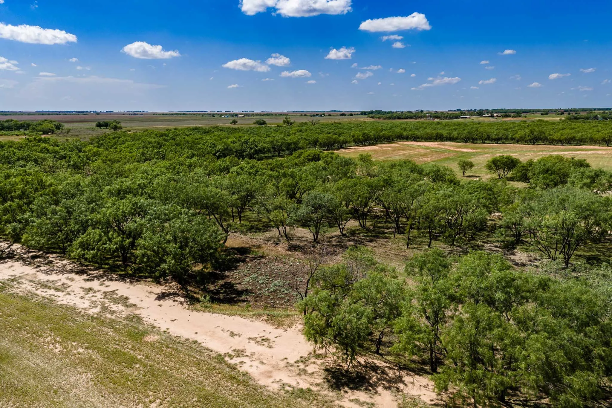 Single Family Residence For Sale in Jones County , 4946 County Road 410, Hawley, Texas 79525, 3 Bedrooms, 3 Bathrooms, 2 Garage spaces, 2,792 Sqft, built in 1984, Price $899,000, mls#21286747, Real Estate Agent in Hawley, Homes For Sale in Jones county, Homes For Sale in Hawley, Realtor in Hawley Texas, Real Estate Brokerage Independent Realty Texas, Luminita Cordes Realtor
